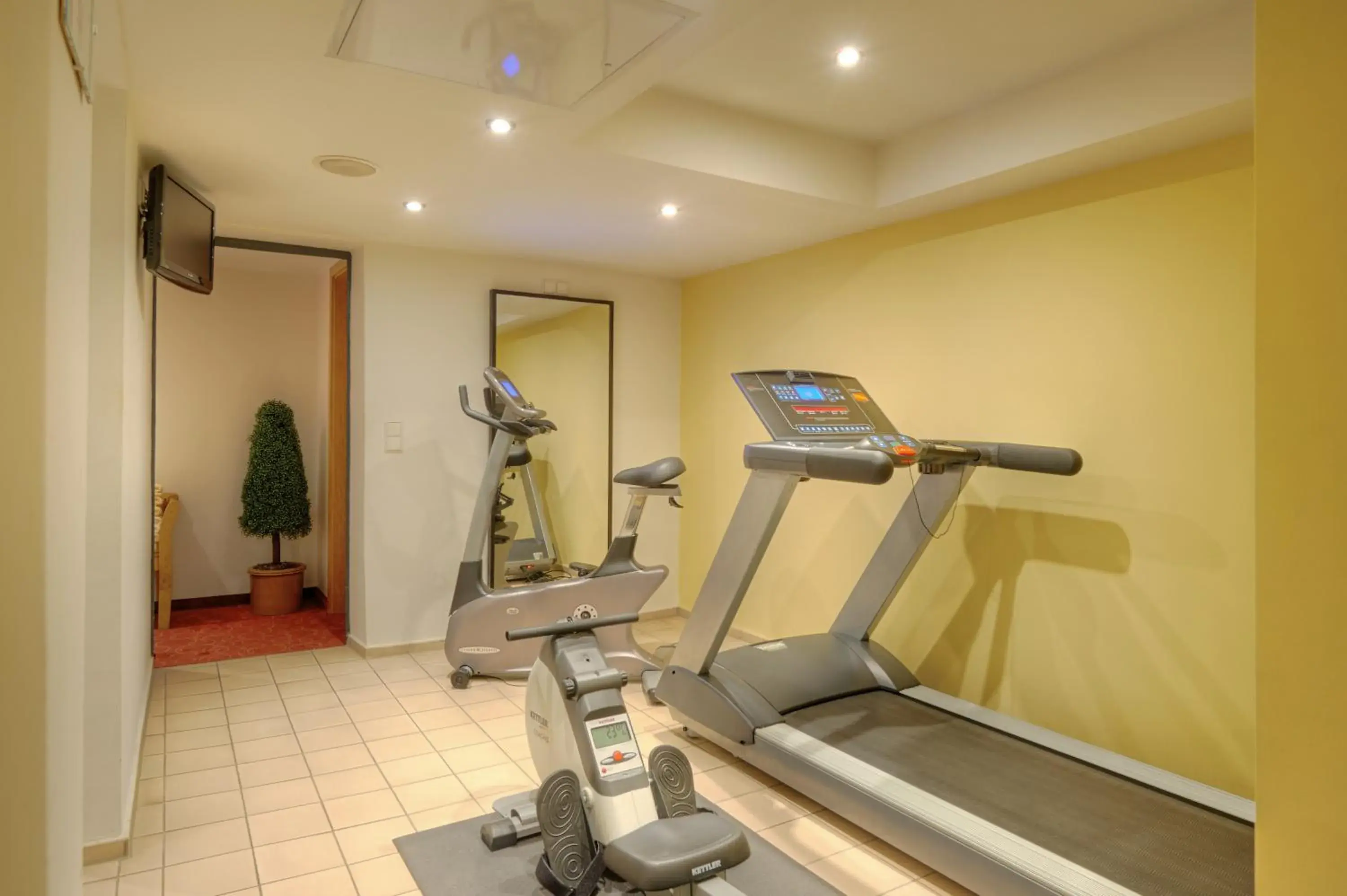 Fitness centre/facilities, Fitness Center/Facilities in Durer-Hotel
