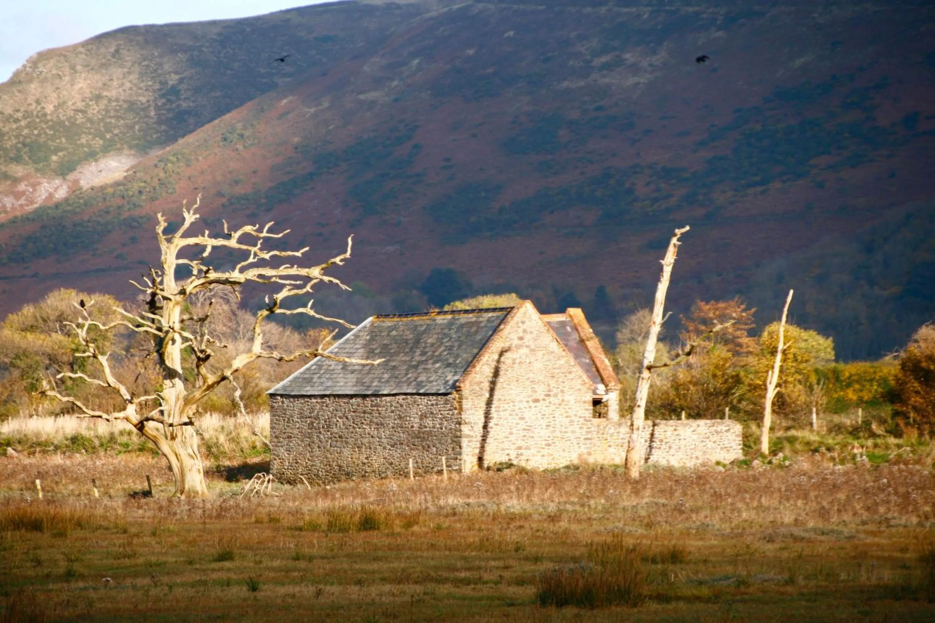 Nearby landmark in The Cottage B&B