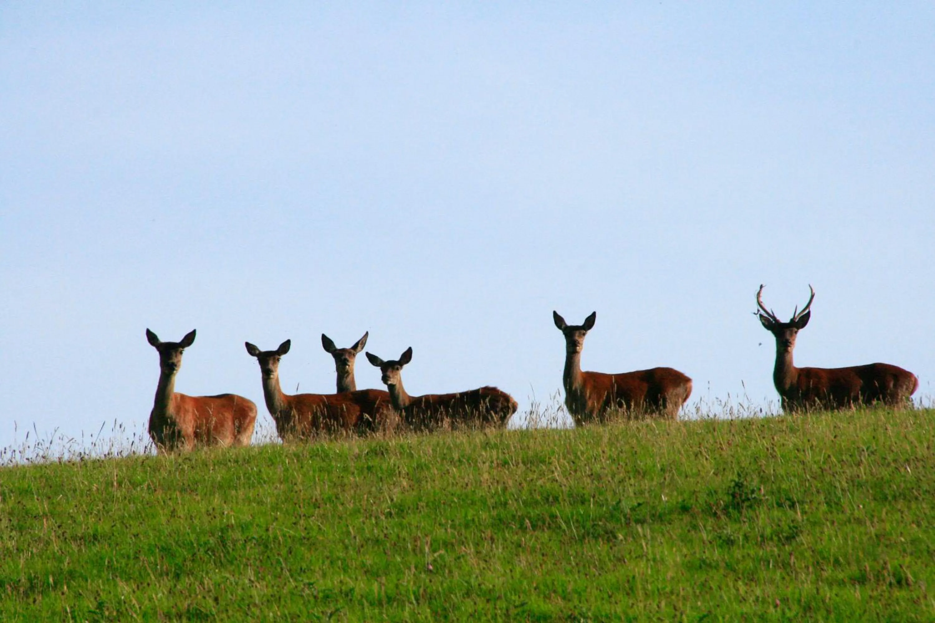 Natural landscape in The Cottage B&B
