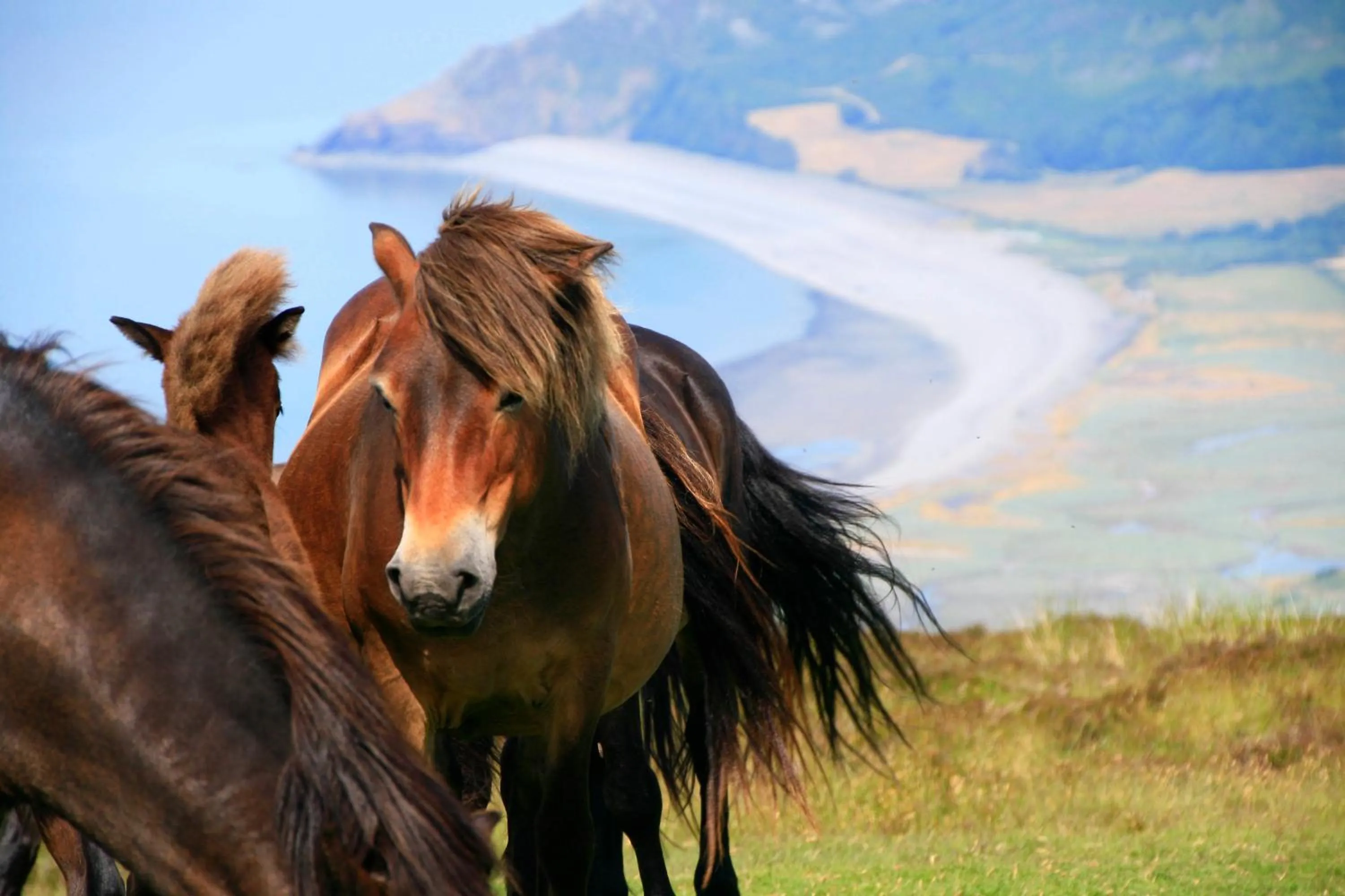 Nearby landmark in The Cottage B&B
