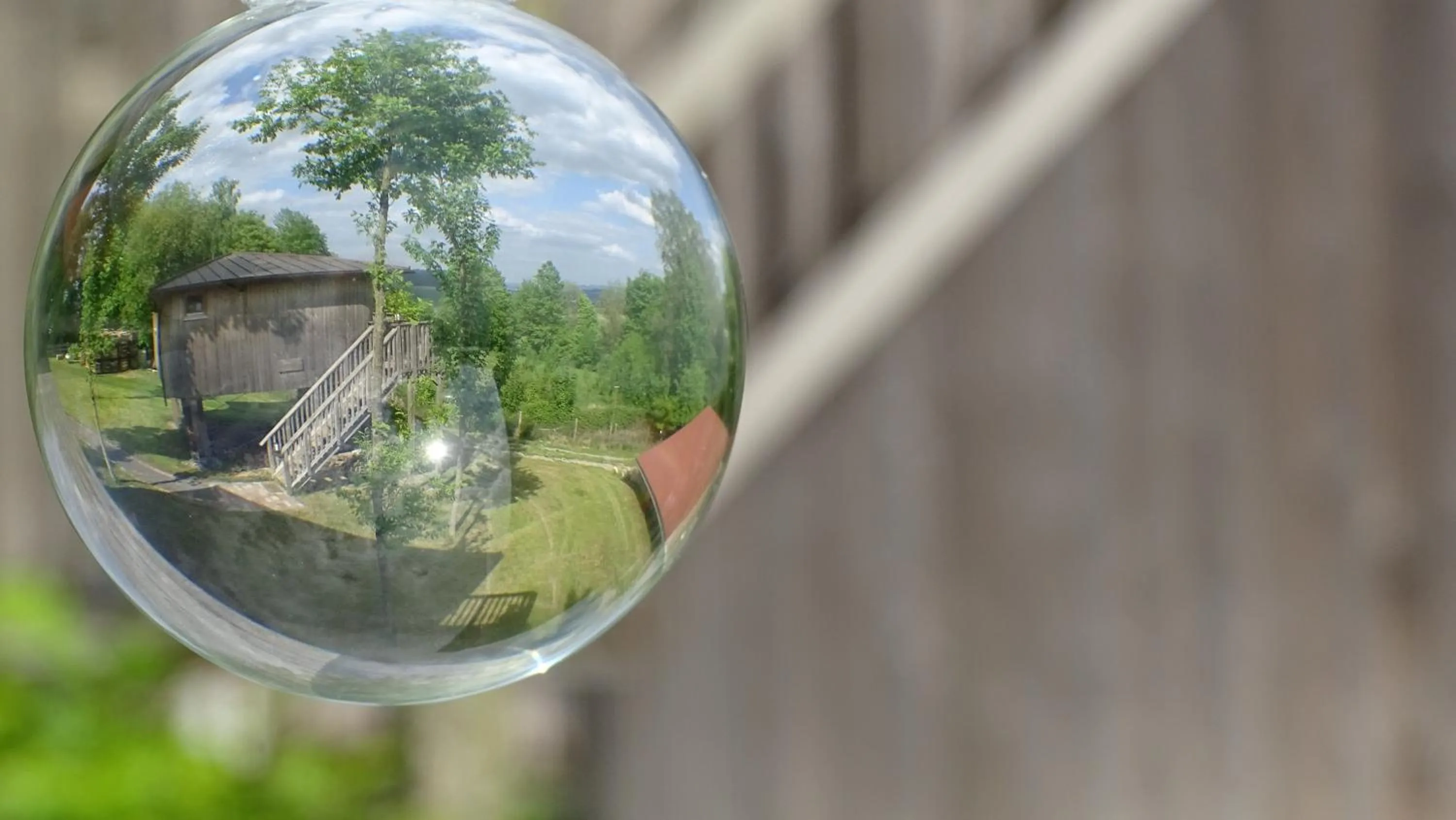 Garden in Hotel Waldquelle - Baumhaushotel Aerzen