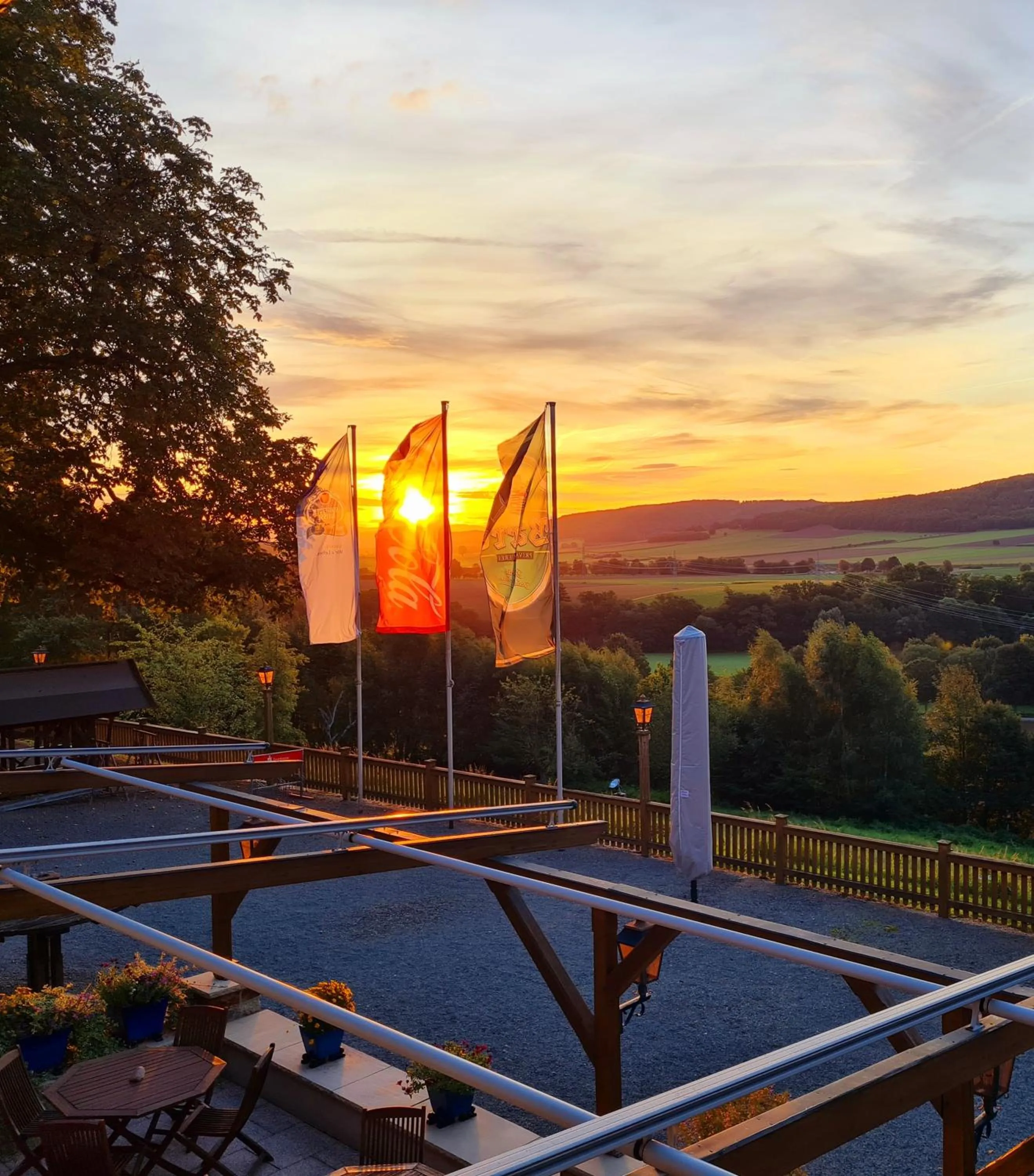 View (from property/room) in Hotel Waldquelle - Baumhaushotel Aerzen