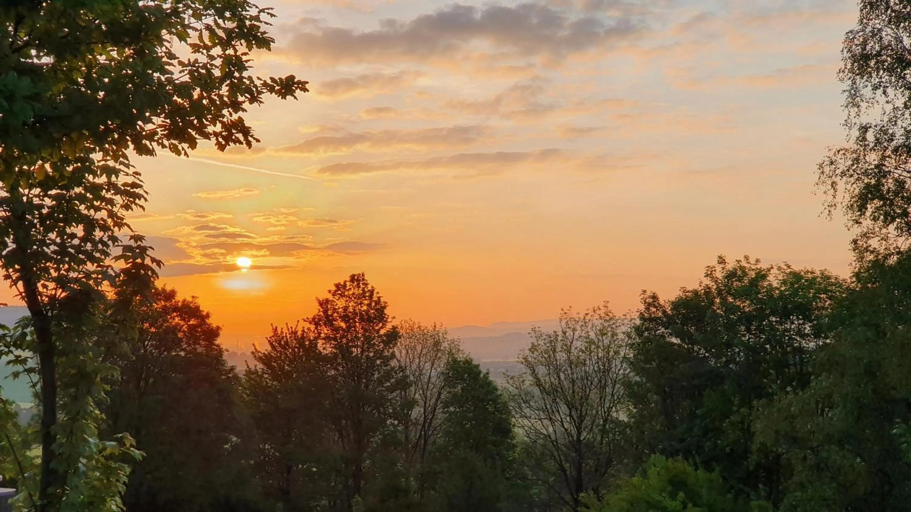 Spring in Hotel Waldquelle - Baumhaushotel Aerzen