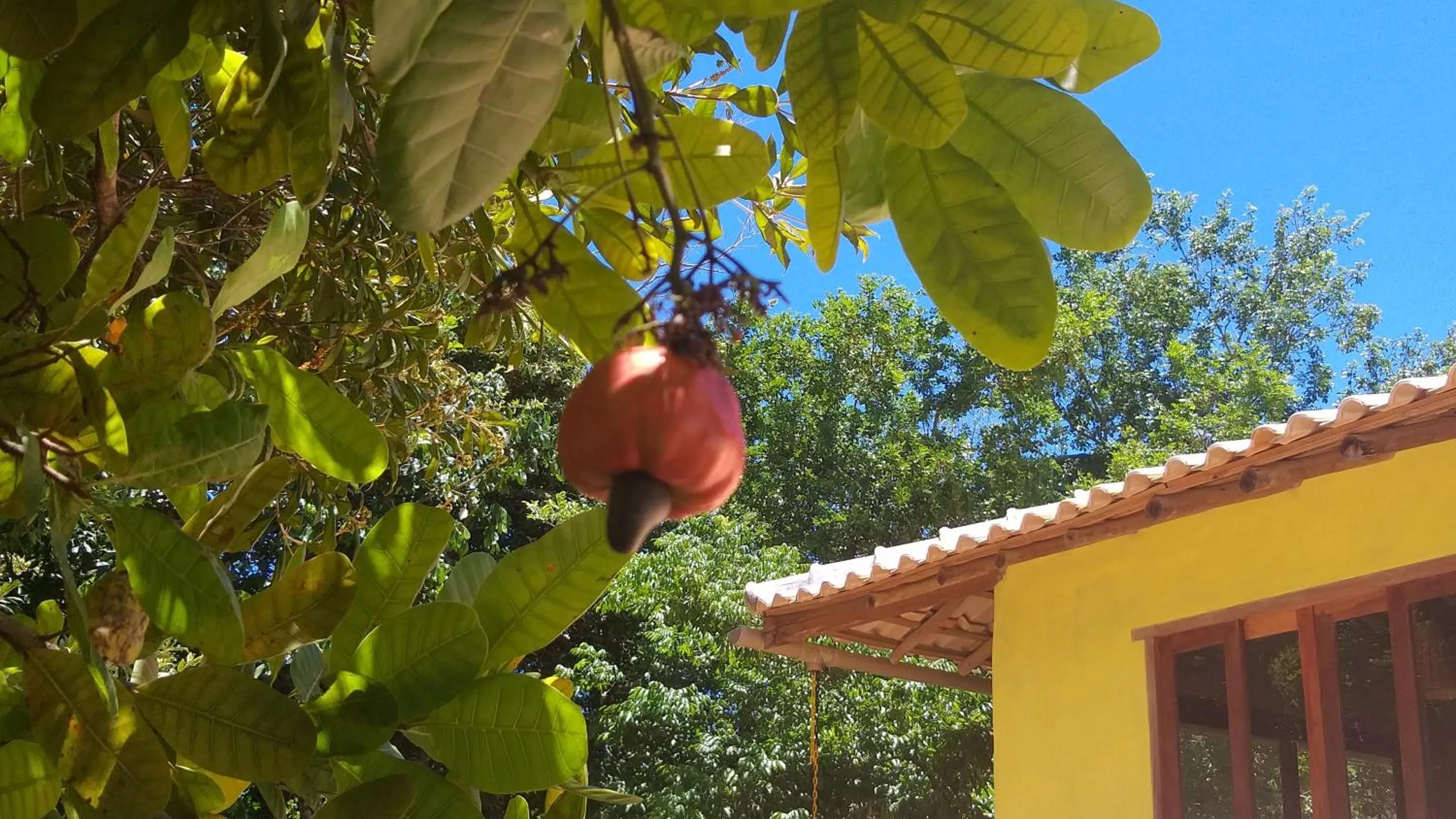 Casa Som do Mar - Trancoso