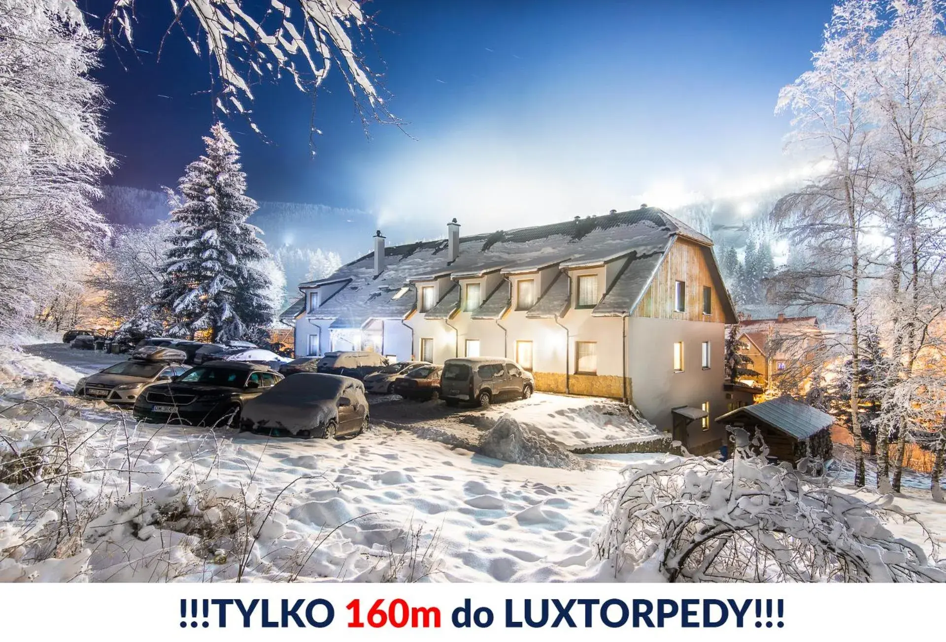 Kosówka Czarna Góra Kosówka Czarna Góra