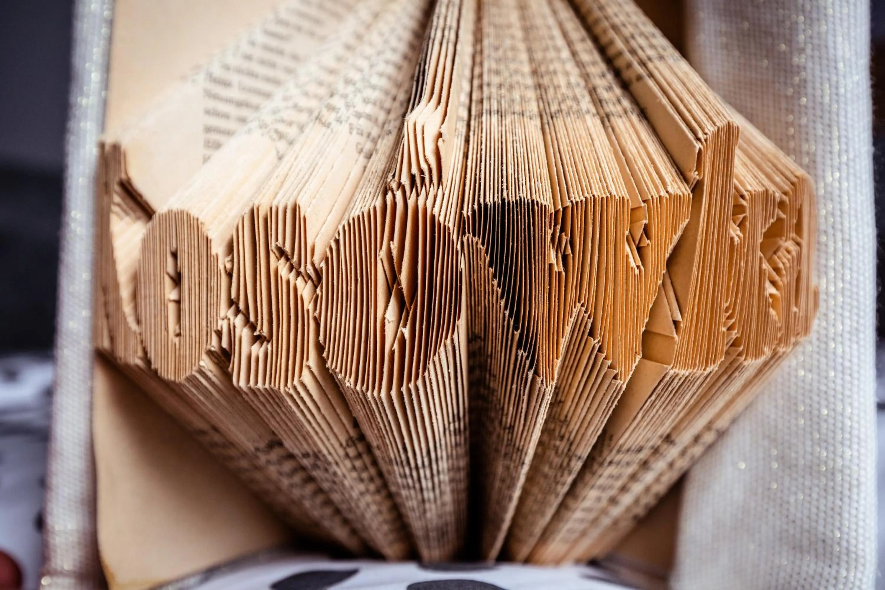 Kosówka Czarna Góra