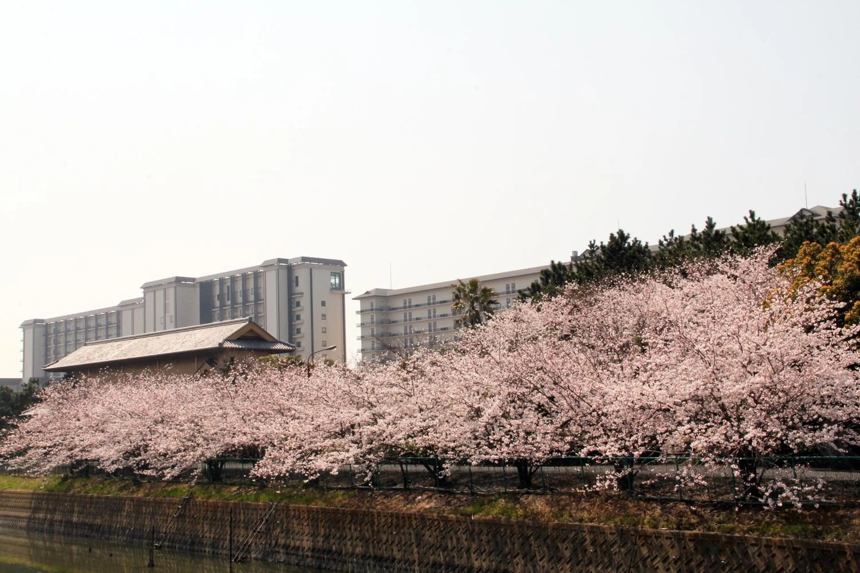 Ryugujo Spa Hotel Mikazuki Ryugutei