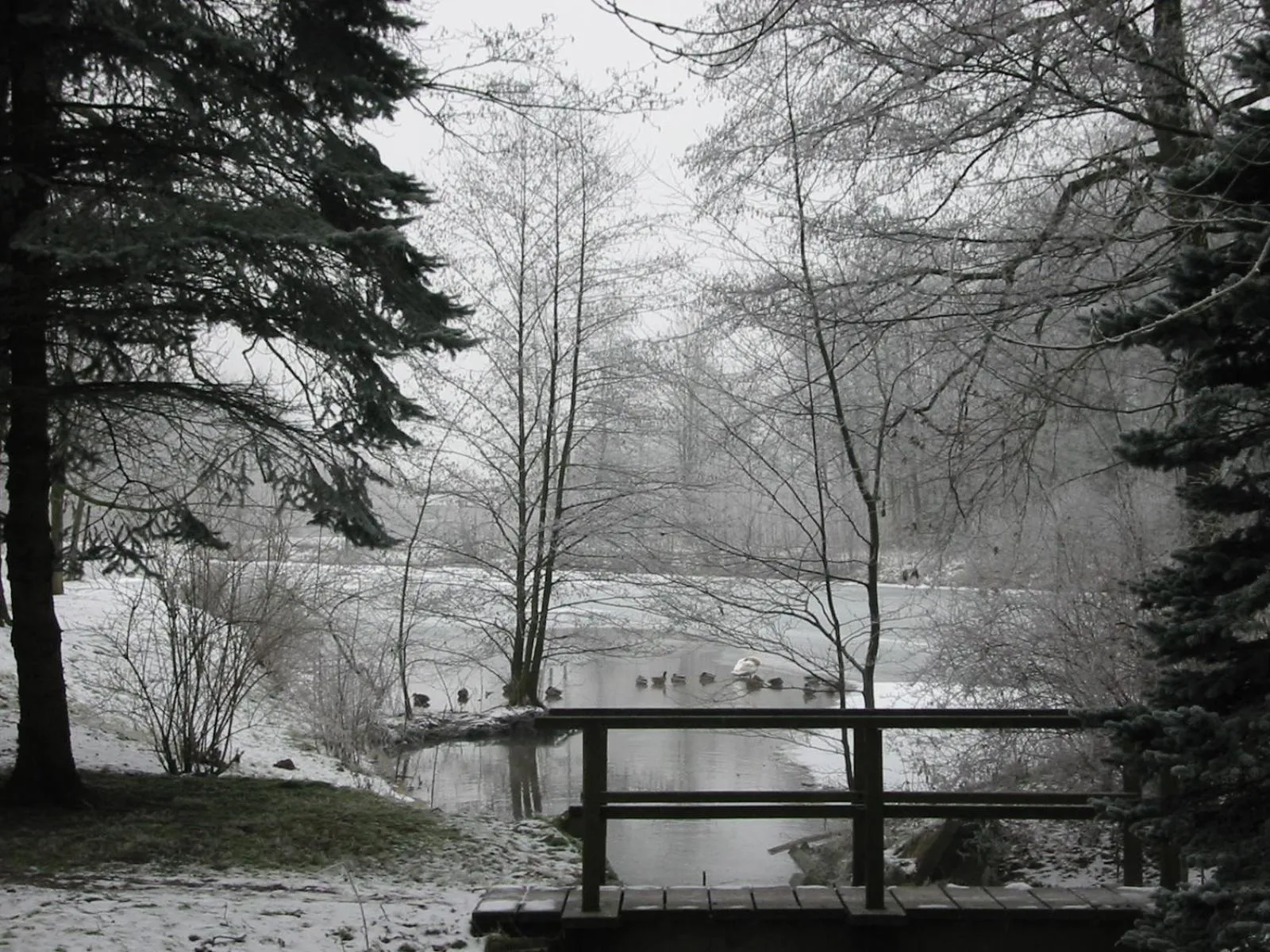 Winter in Hotel Wintersmühle
