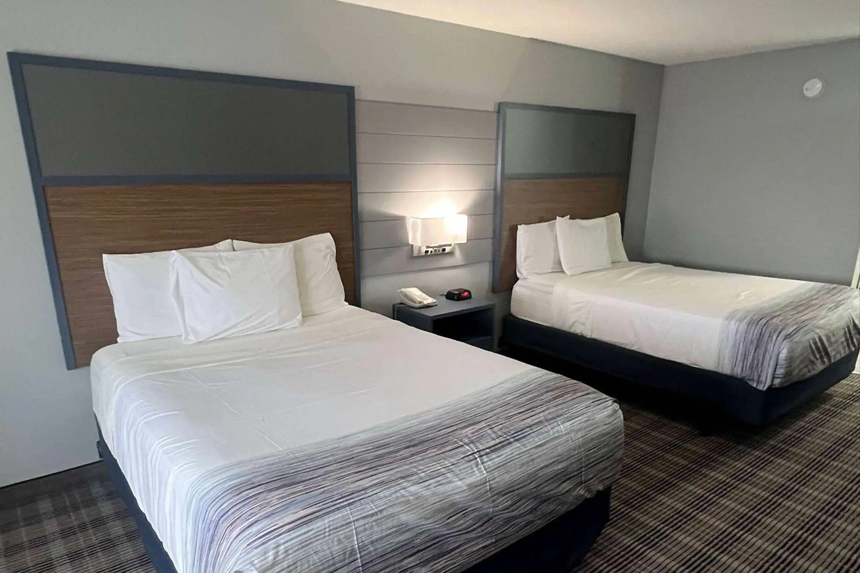 Photo of the whole room, Bed in AmericInn by Wyndham Viroqua Photo of the whole room, Bed in AmericInn by Wyndham Viroqua