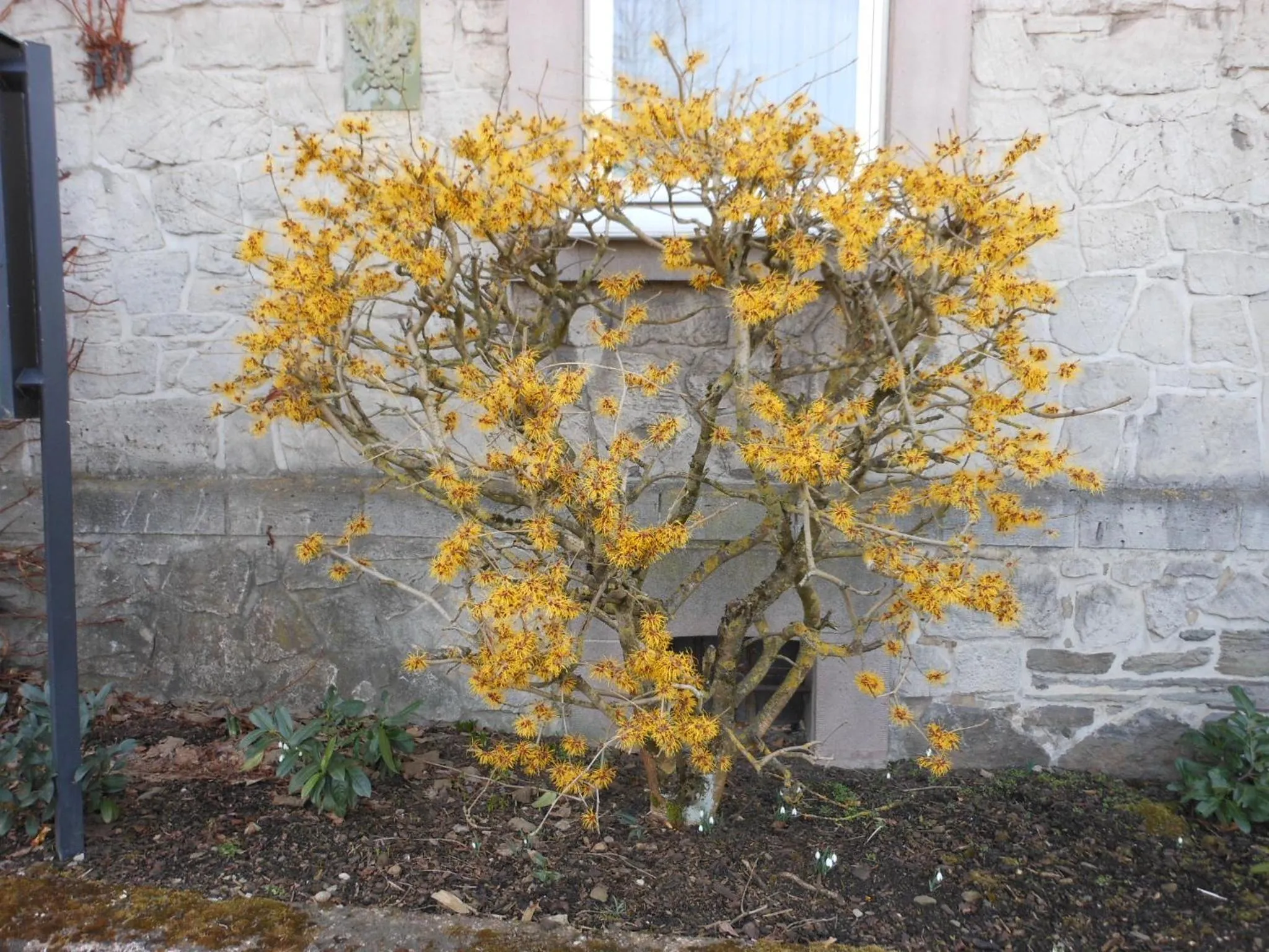 Spring in Westfalenhof Garni