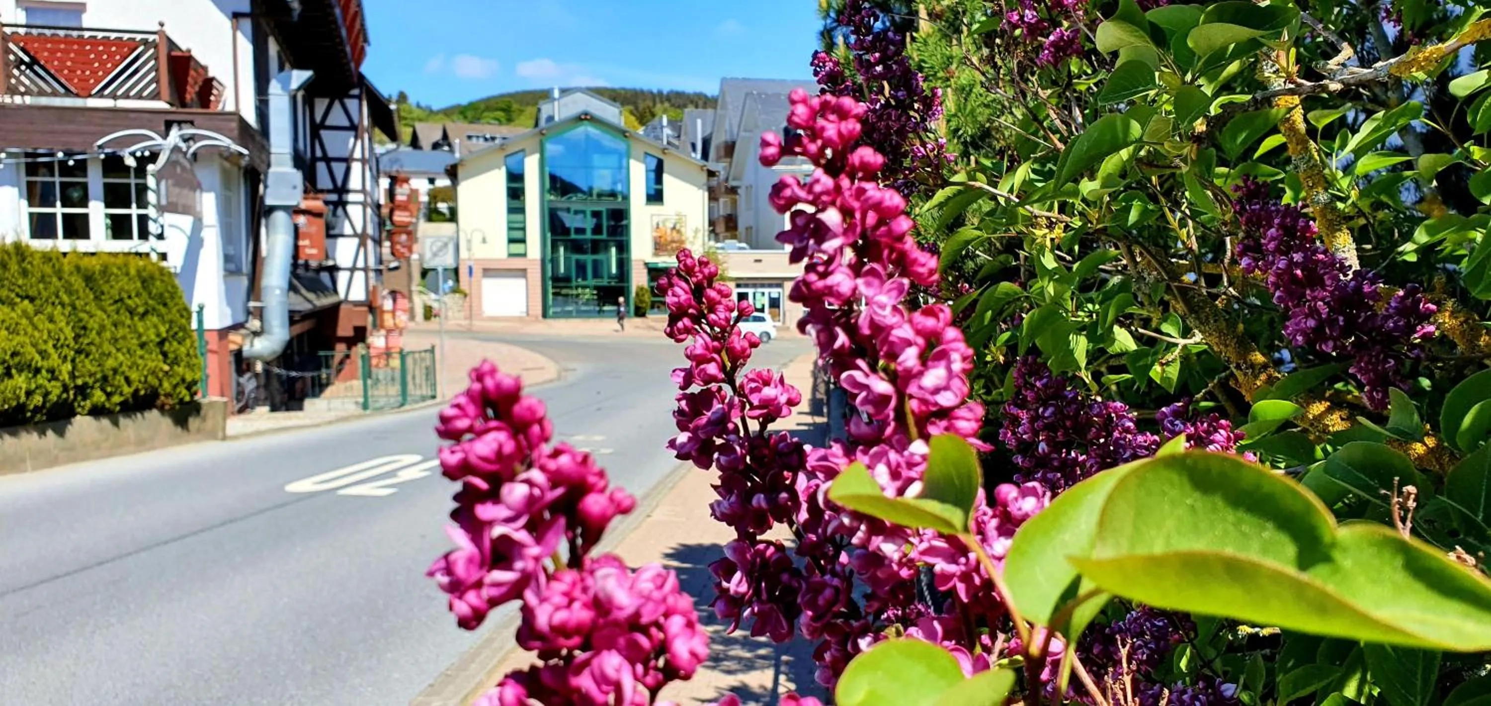 Neighbourhood in Sevda's Hotel Garni Weinforth