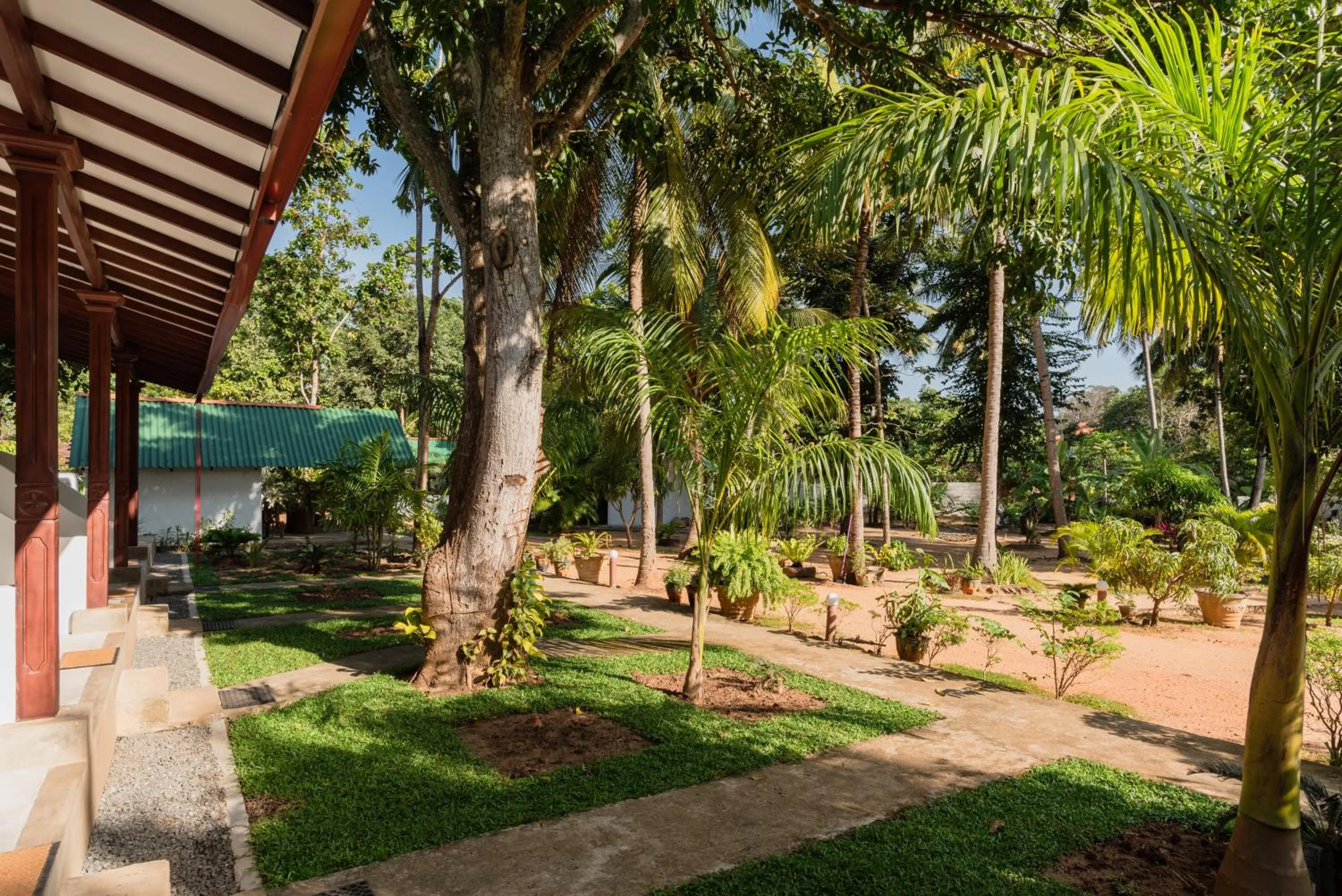 Garden in La Dolce Vita