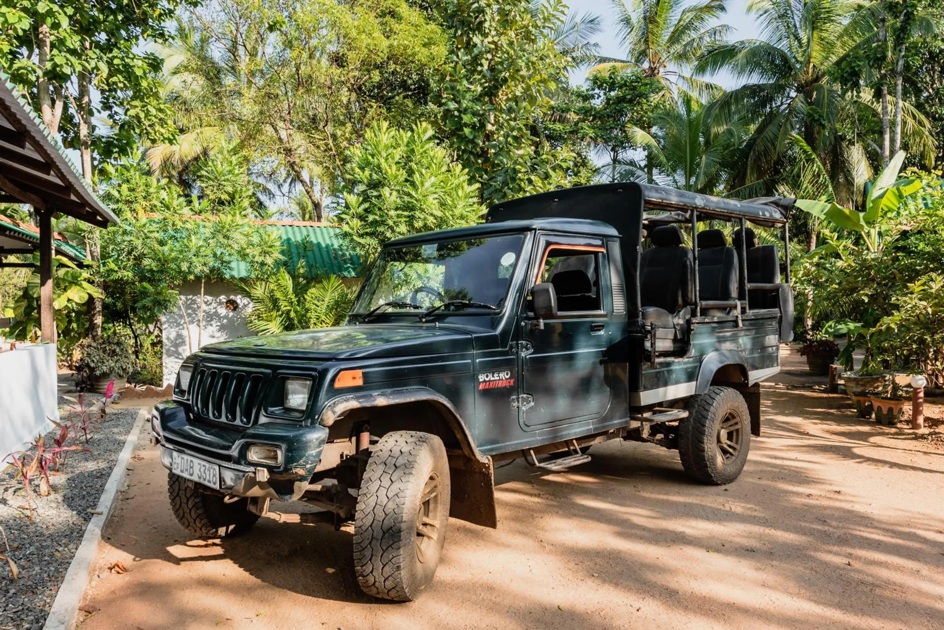 Activities in La Dolce Vita