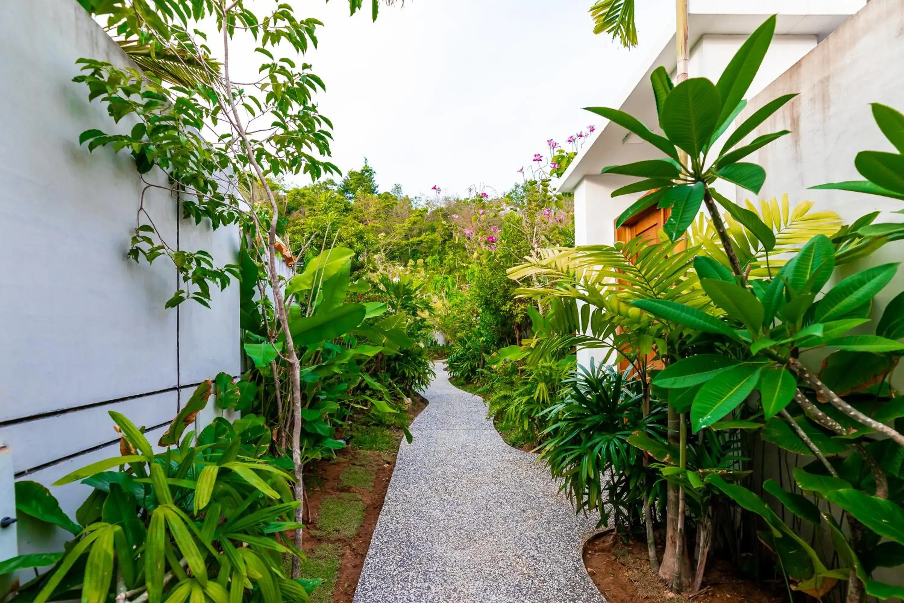 Property building in Maneh Villa Langkawi - Private Pool Property building in Maneh Villa Langkawi - Private Pool