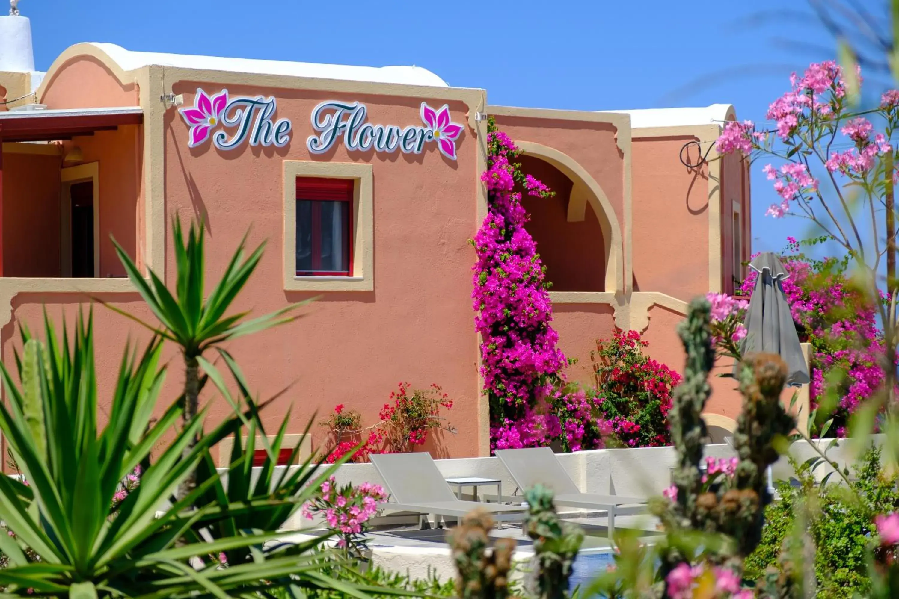 Pension The Flower Pension The Flower