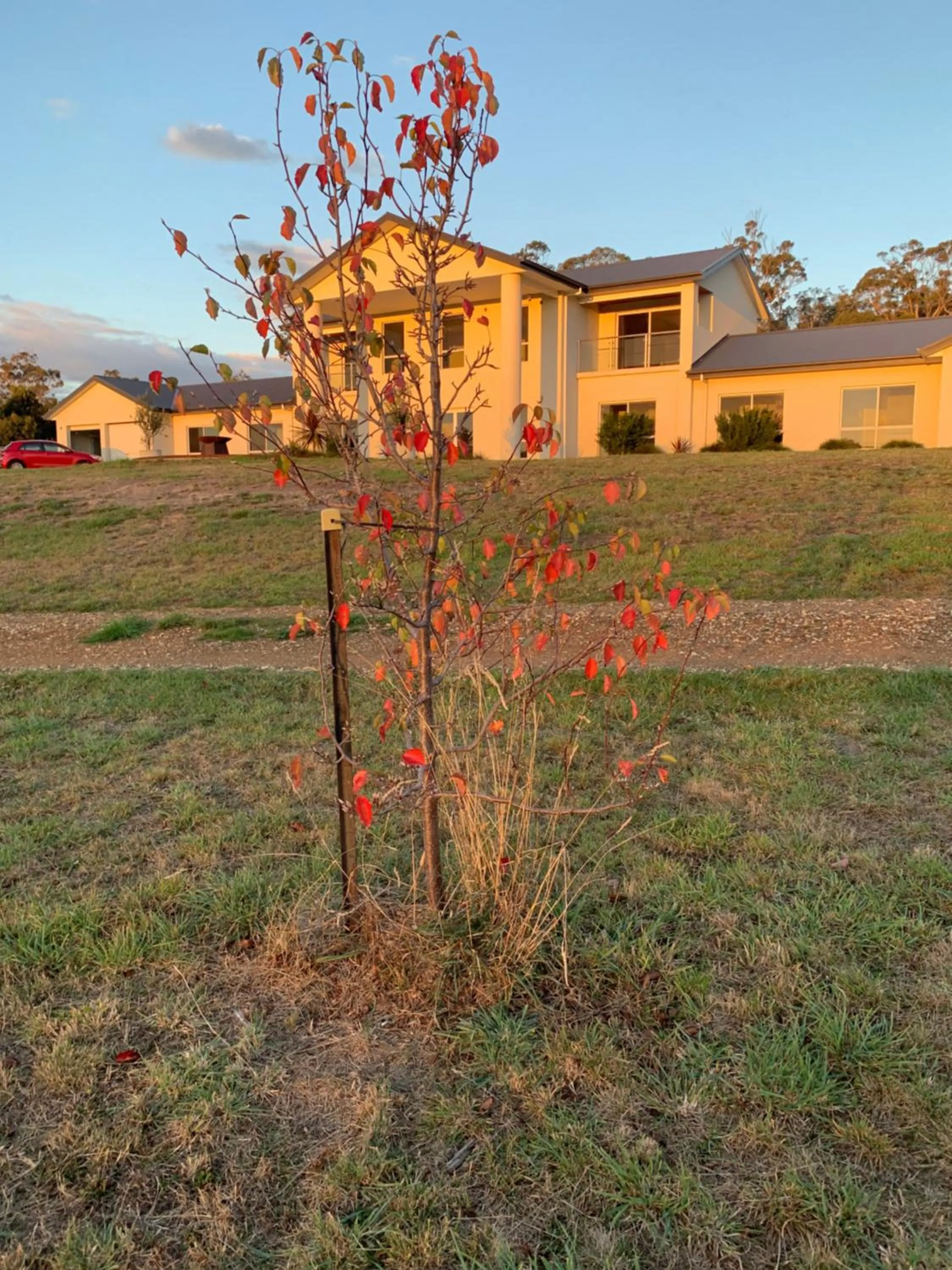 Property building in Couples Retreat with Mountain View Near Hobart