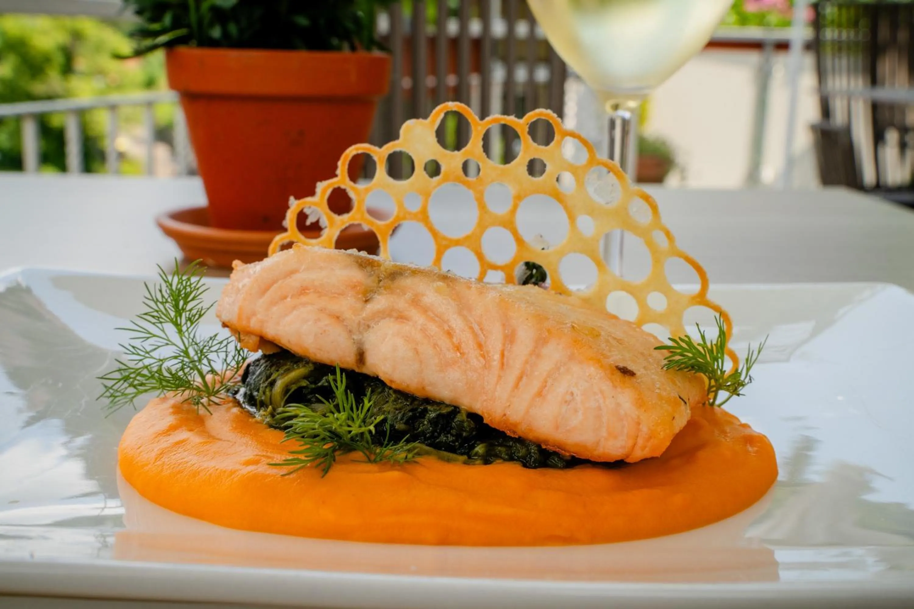 Food and drinks in Wellnesshotel Rothfuß mit Spa und 2 Schwimmbädern