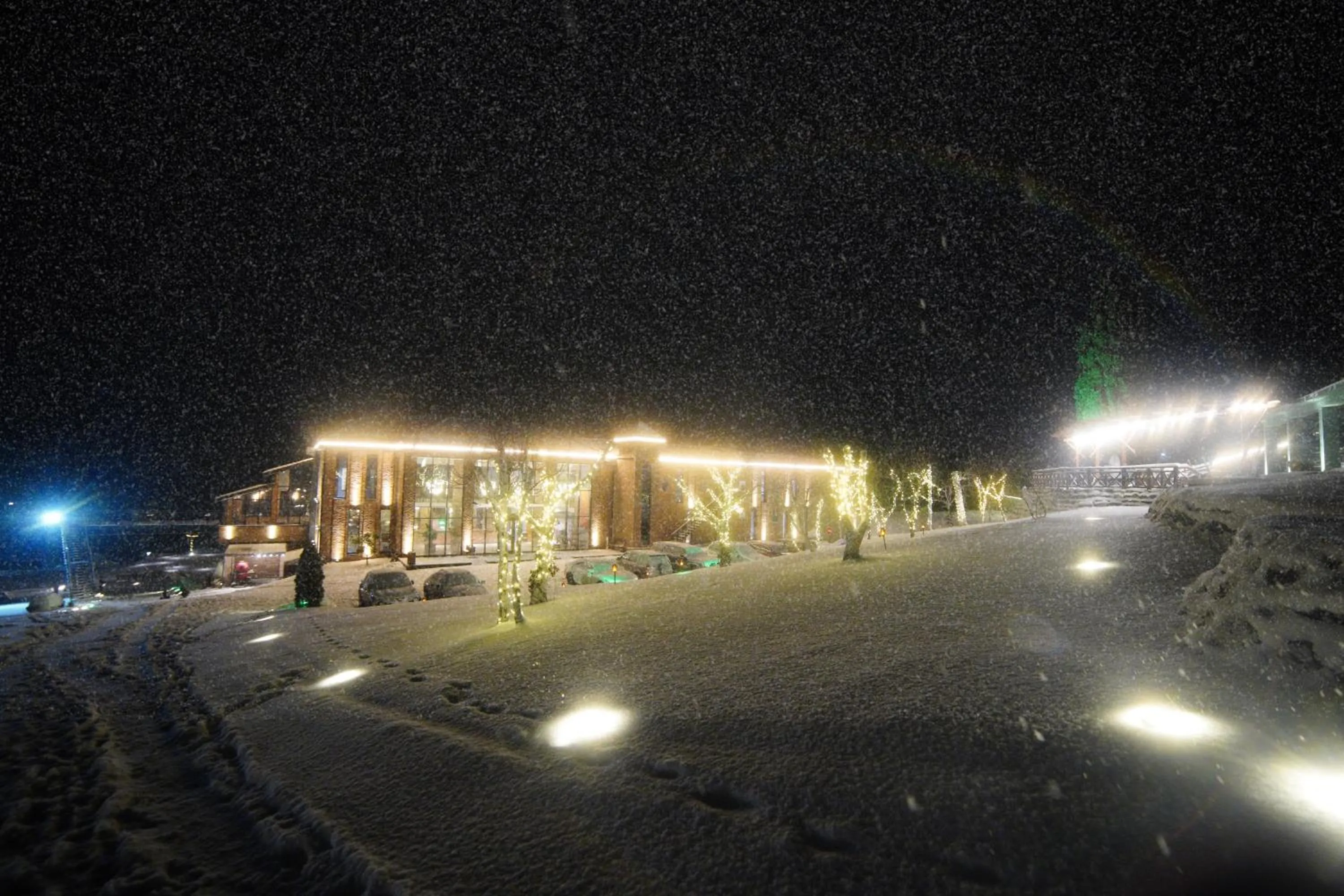 Property building in Mtserlebi Resort