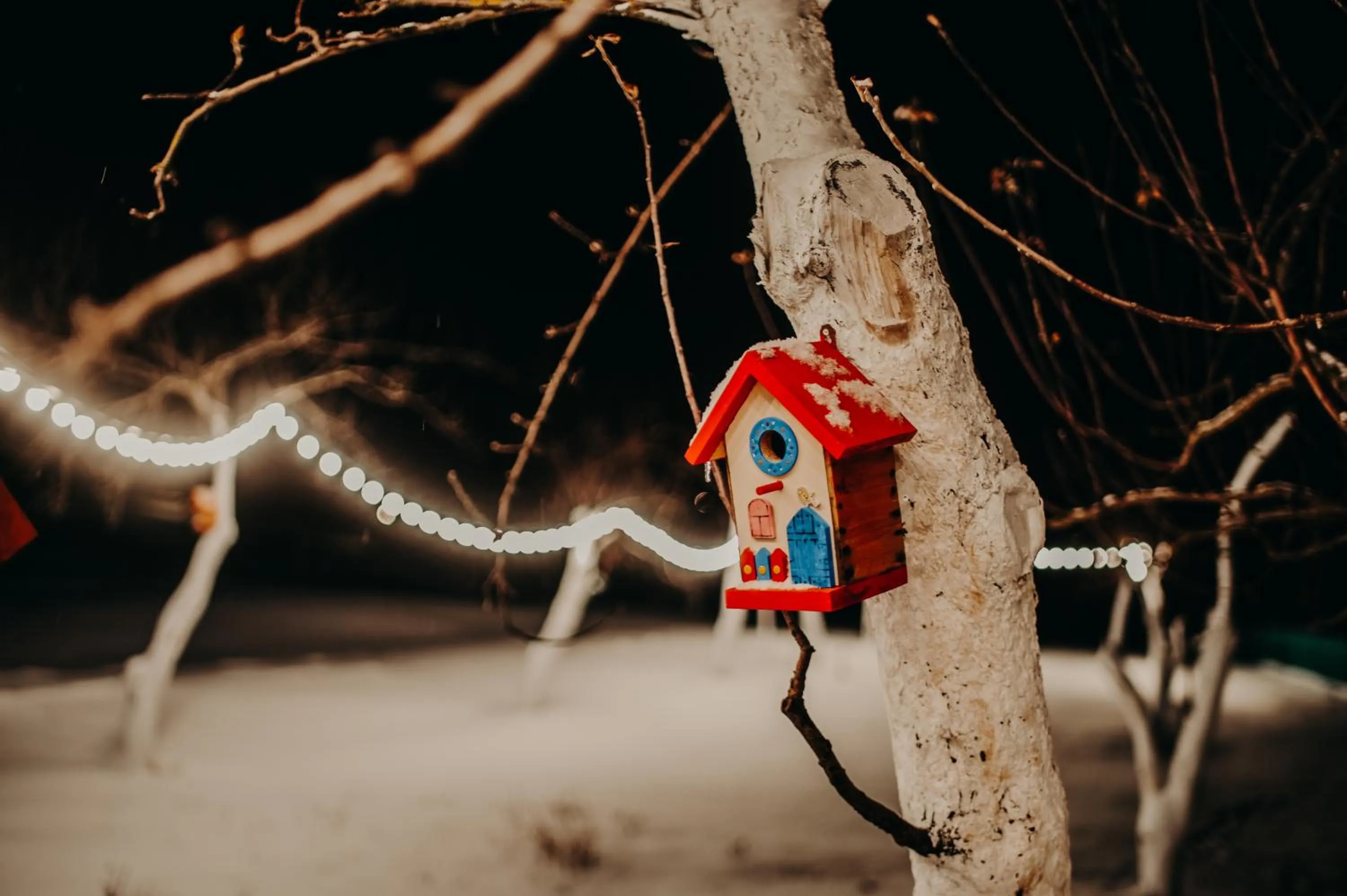 Winter in Mtserlebi Resort