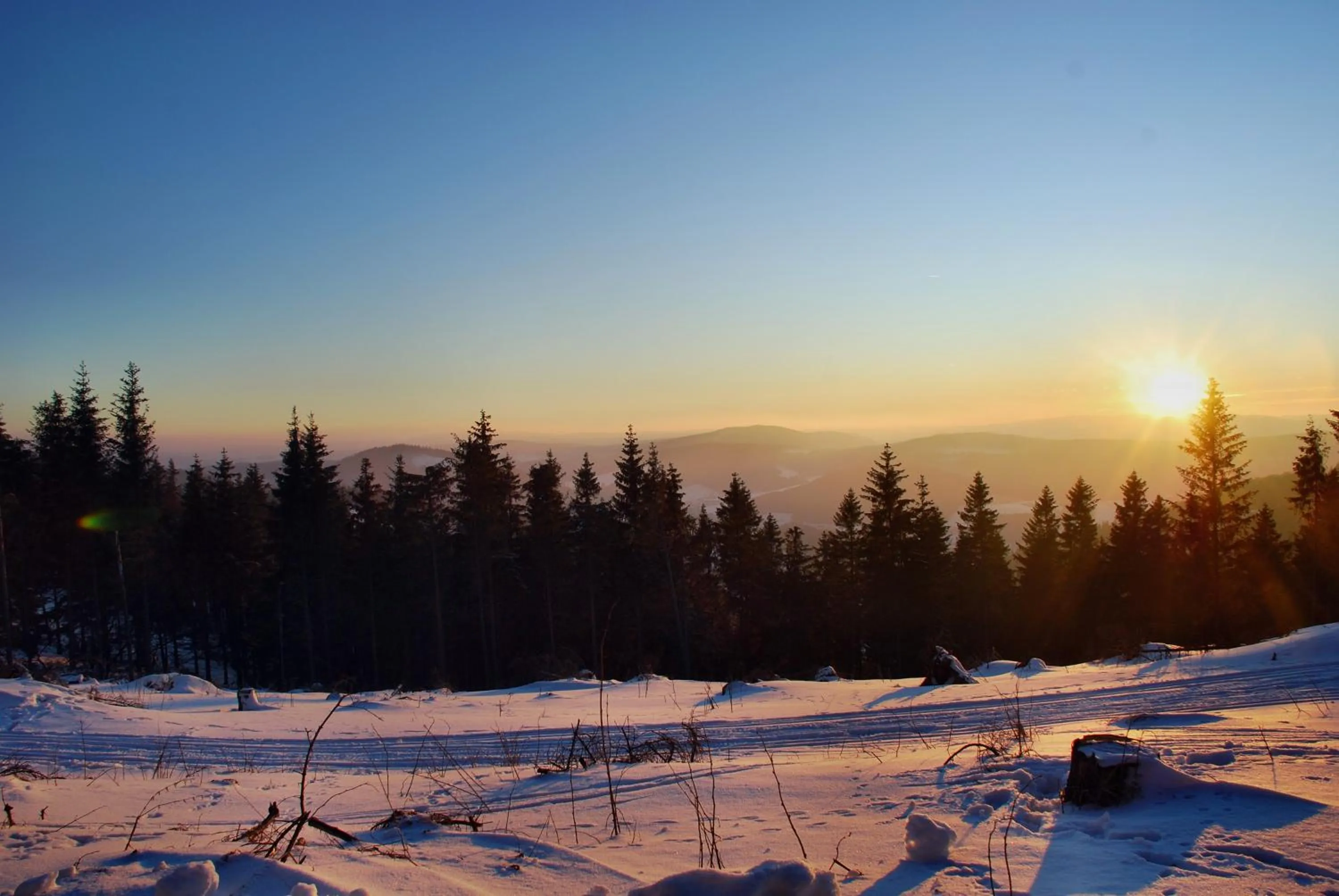 Area and facilities in Boutiquehotel Liebesglück - adults only