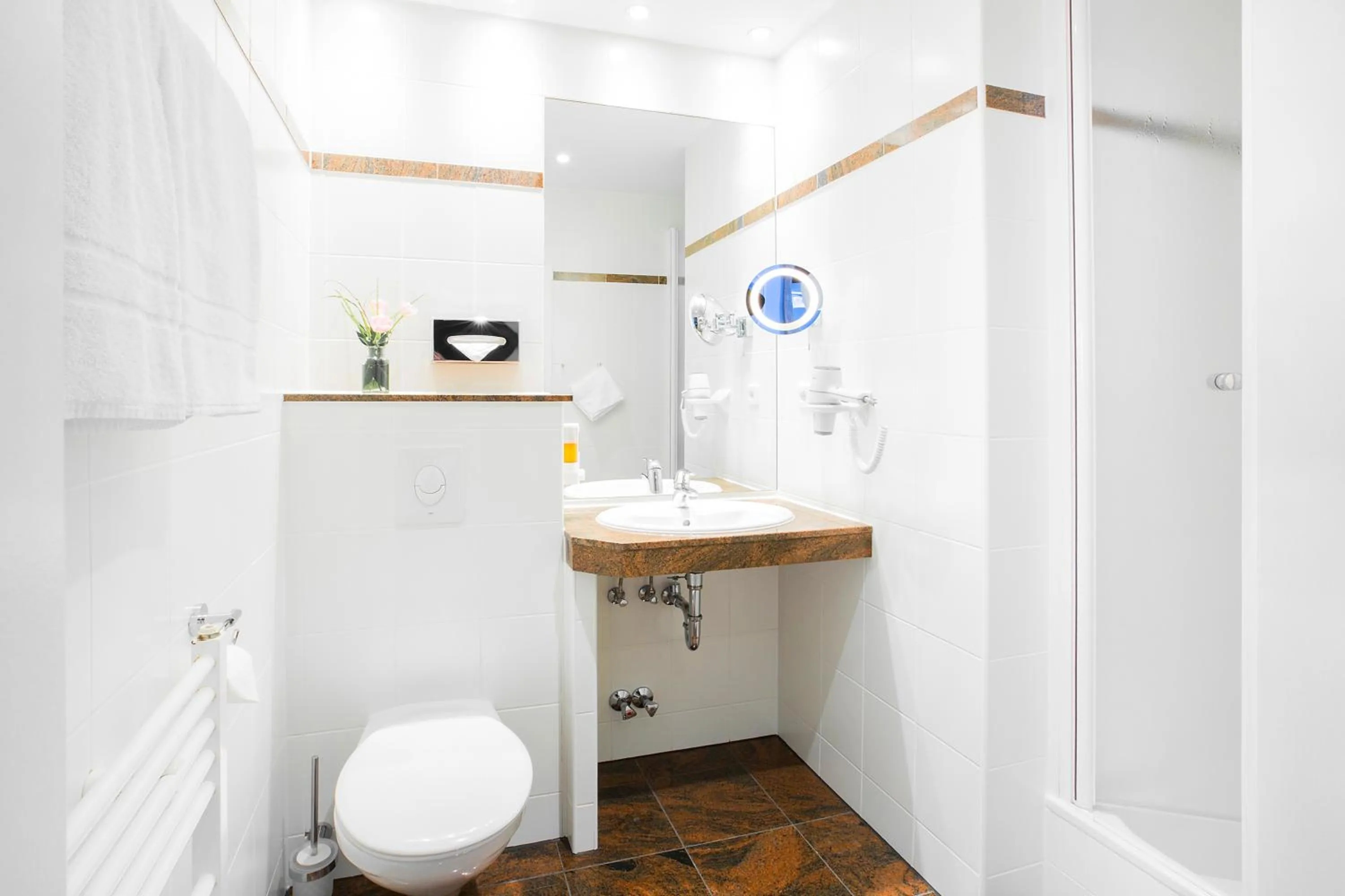 Bathroom in Anna 1908