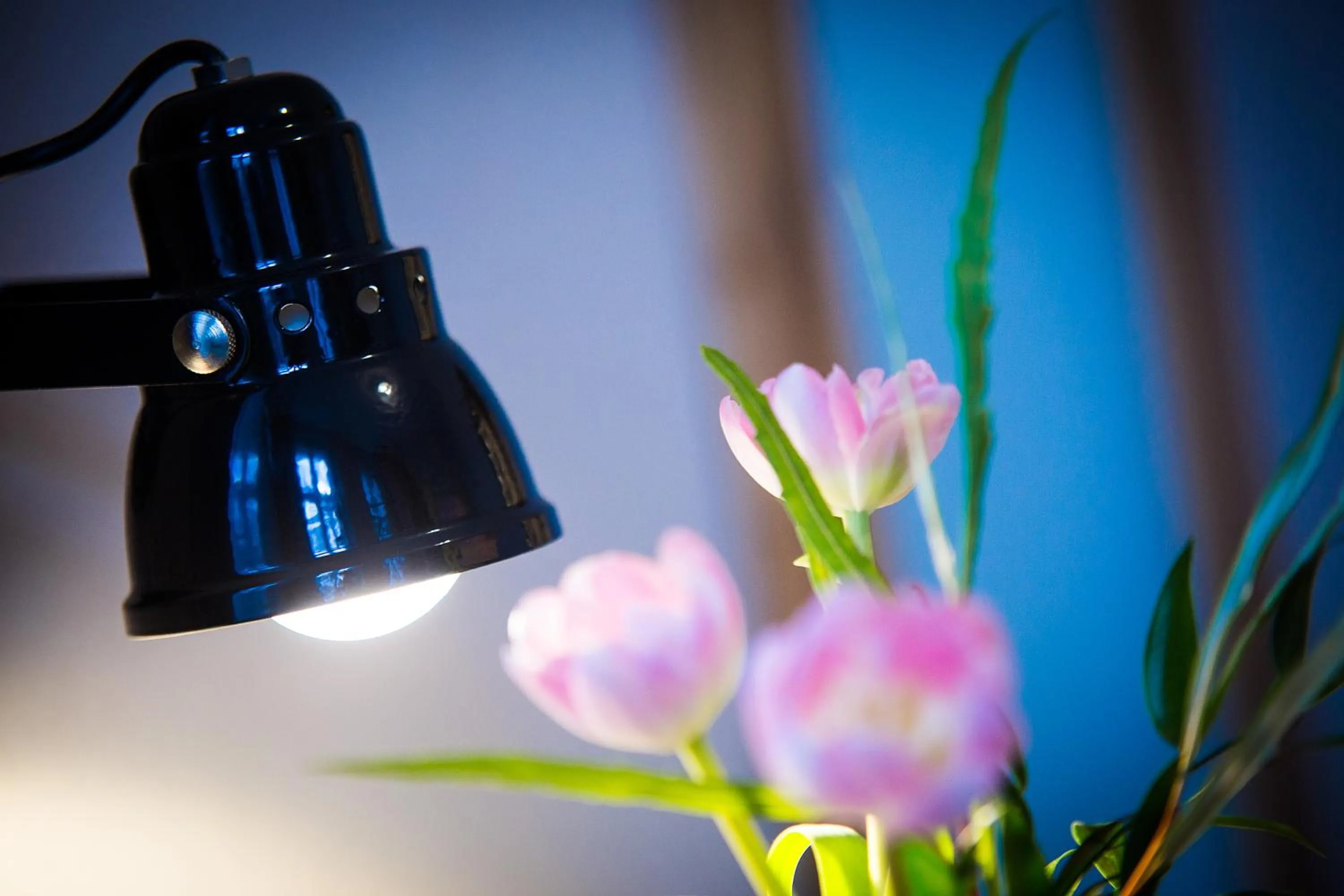 Decorative detail in Anna 1908