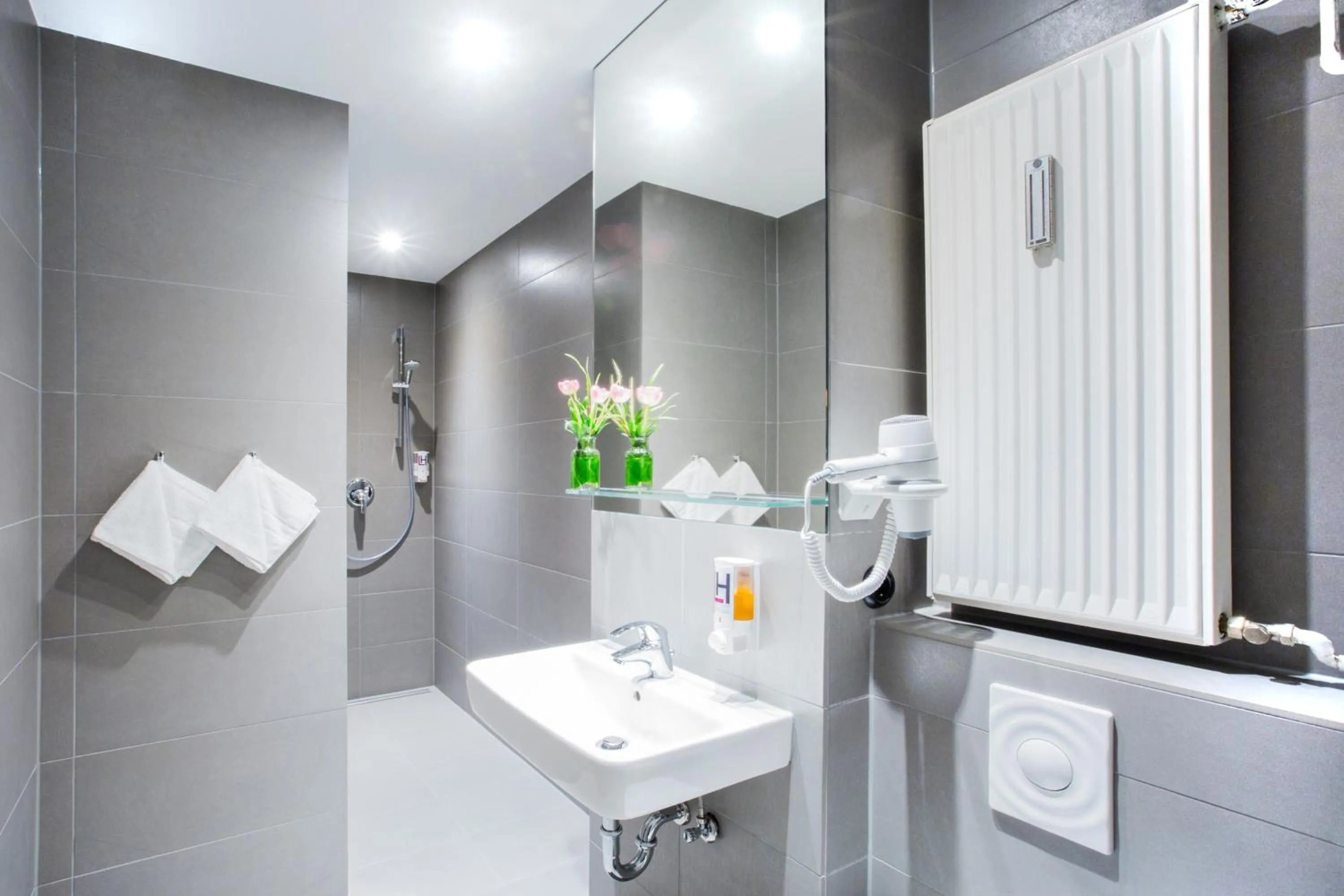 Bathroom in Anna 1908