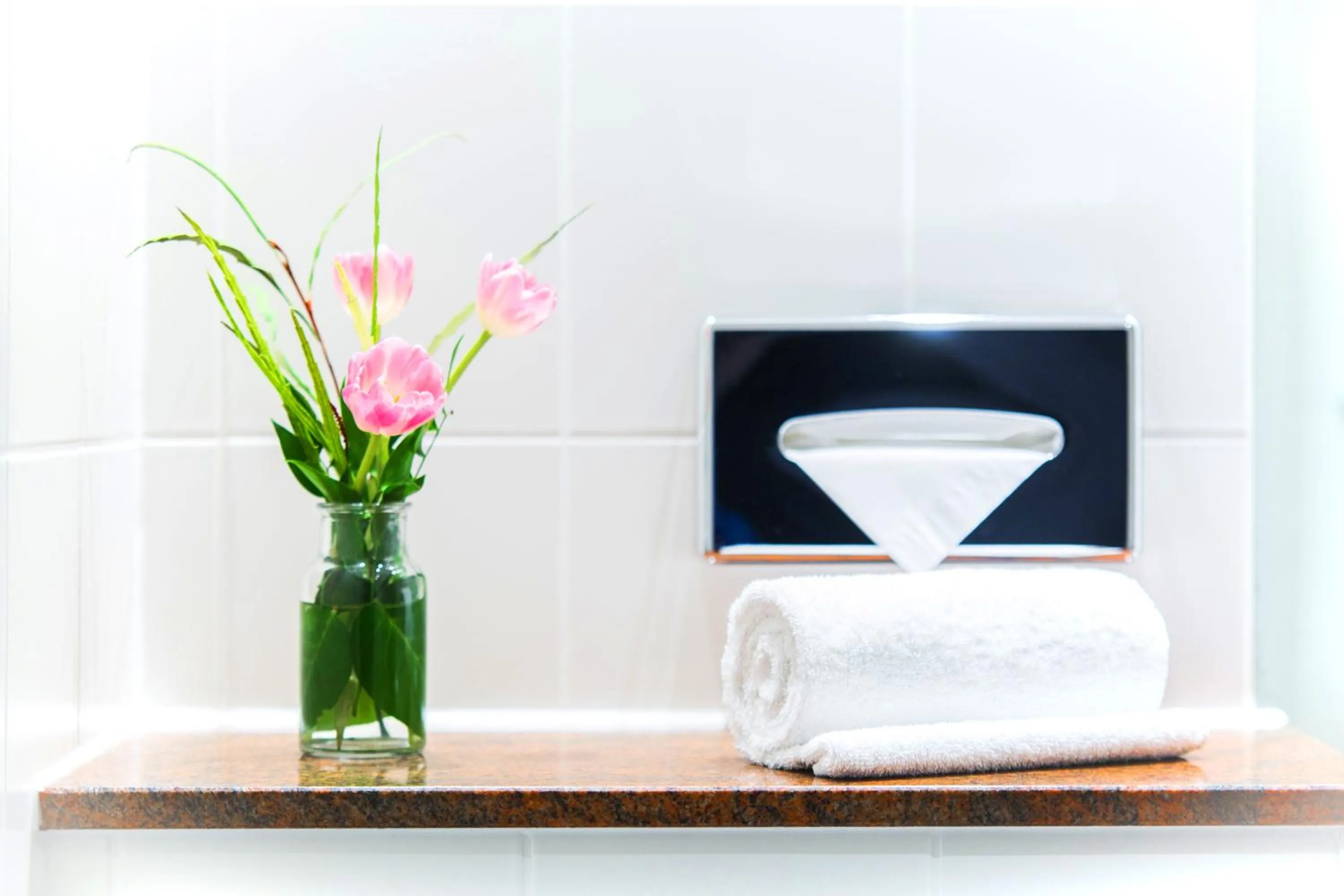 Bathroom in Anna 1908