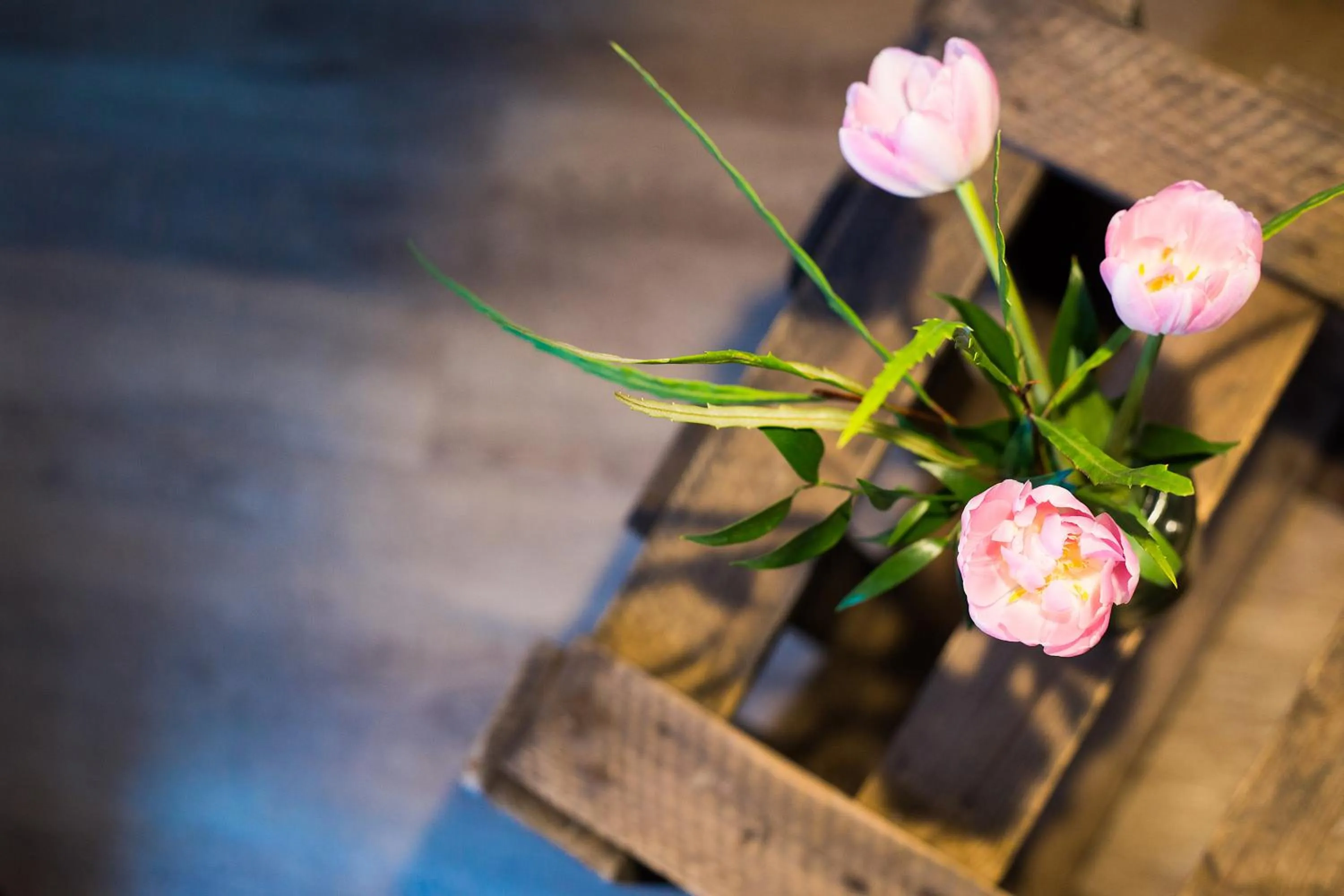 Decorative detail in Anna 1908