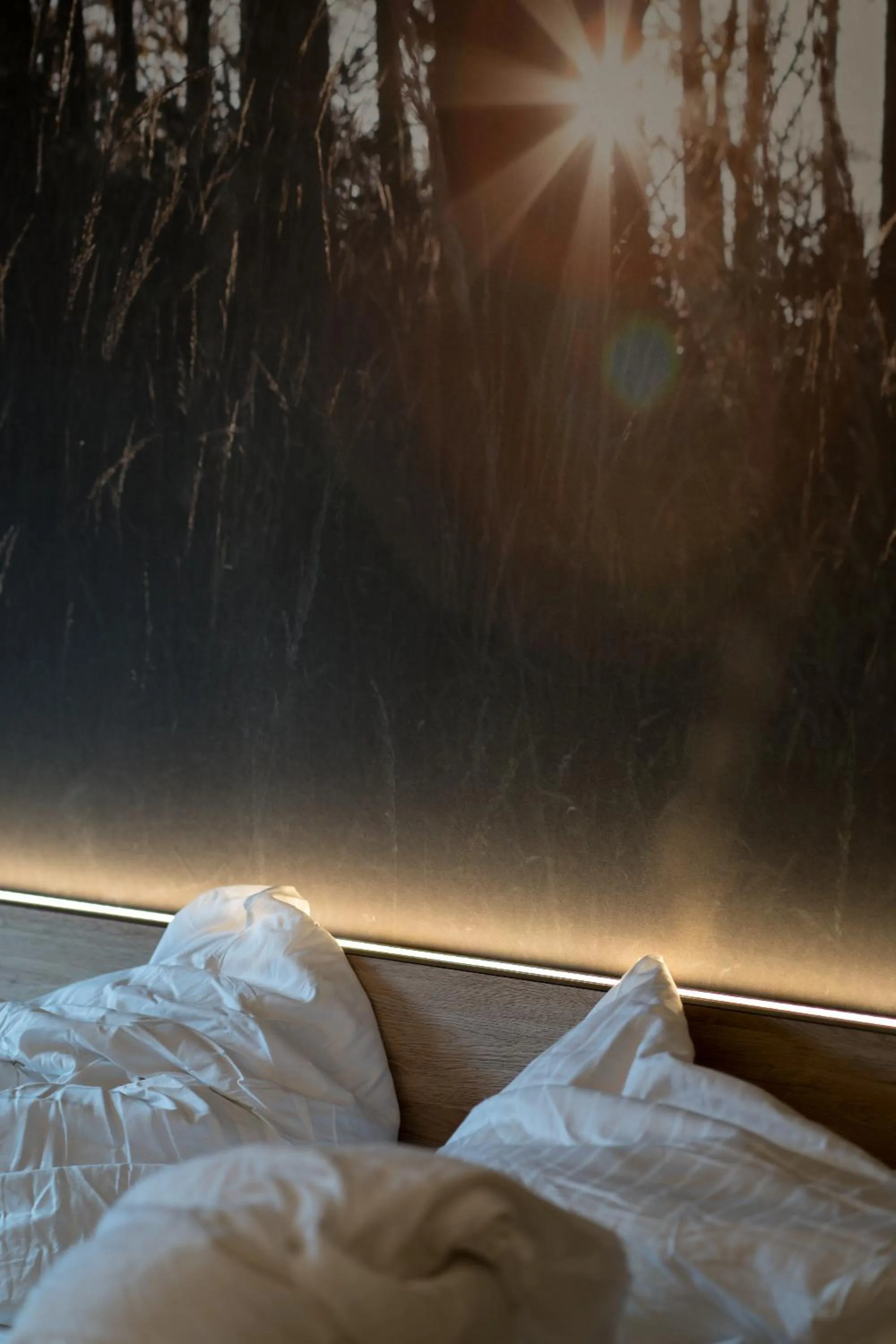 Bed in Hotel Schwarzwälder Hof