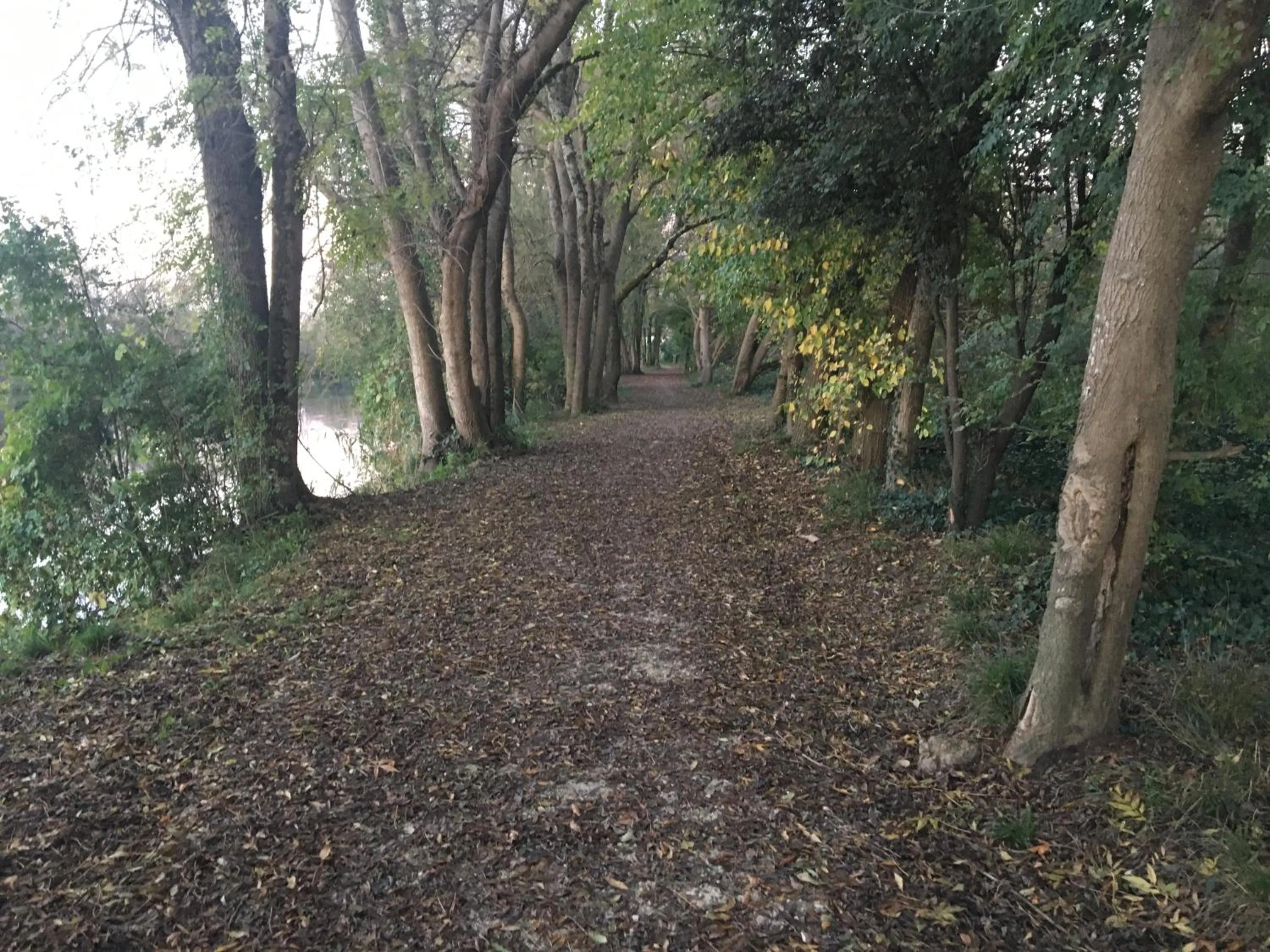 Off site in Suite en Terrasse à Cognac