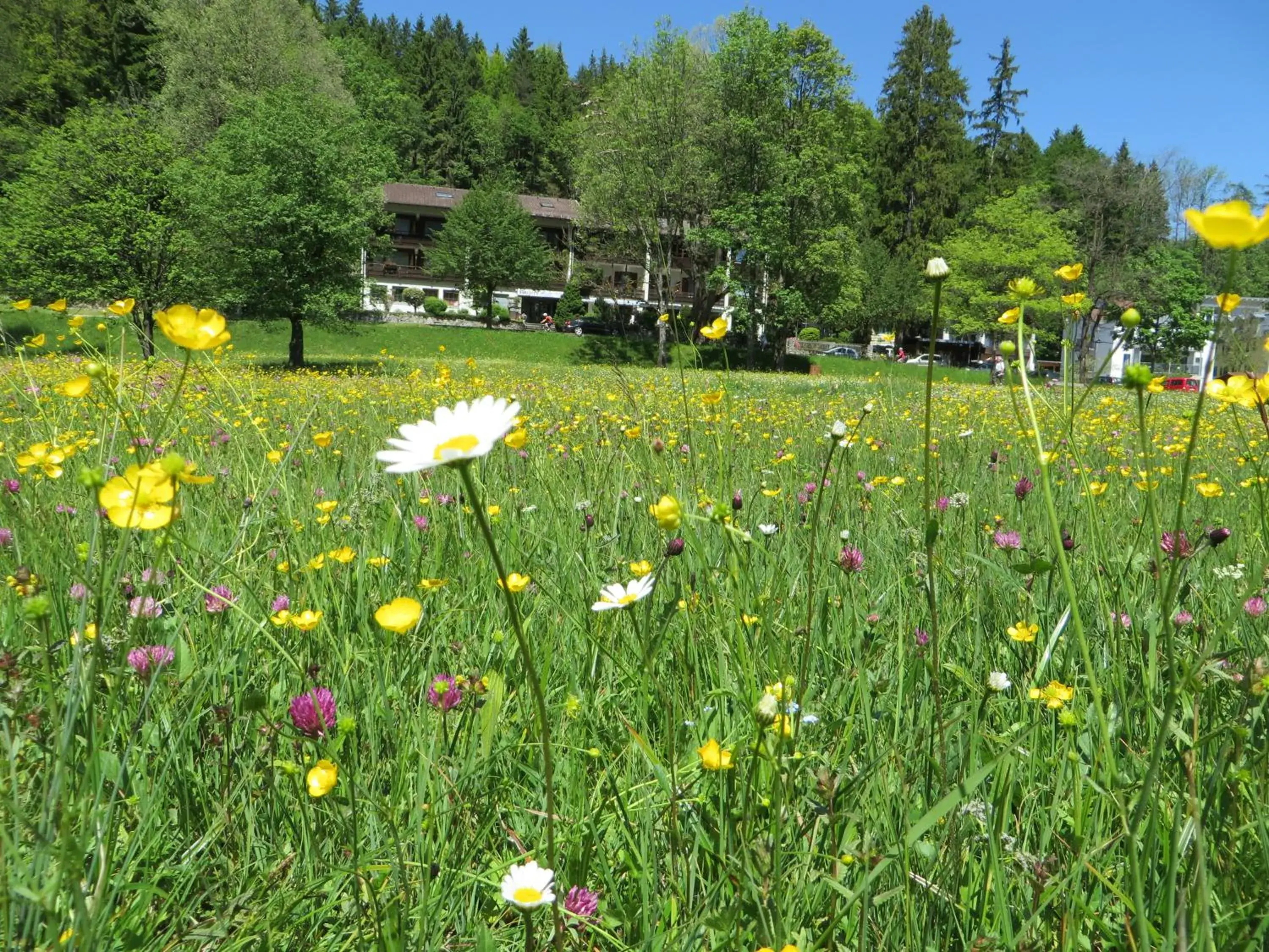 Property building in Hotel Ruchti - Zeit für mich Property building in Hotel Ruchti - Zeit für mich