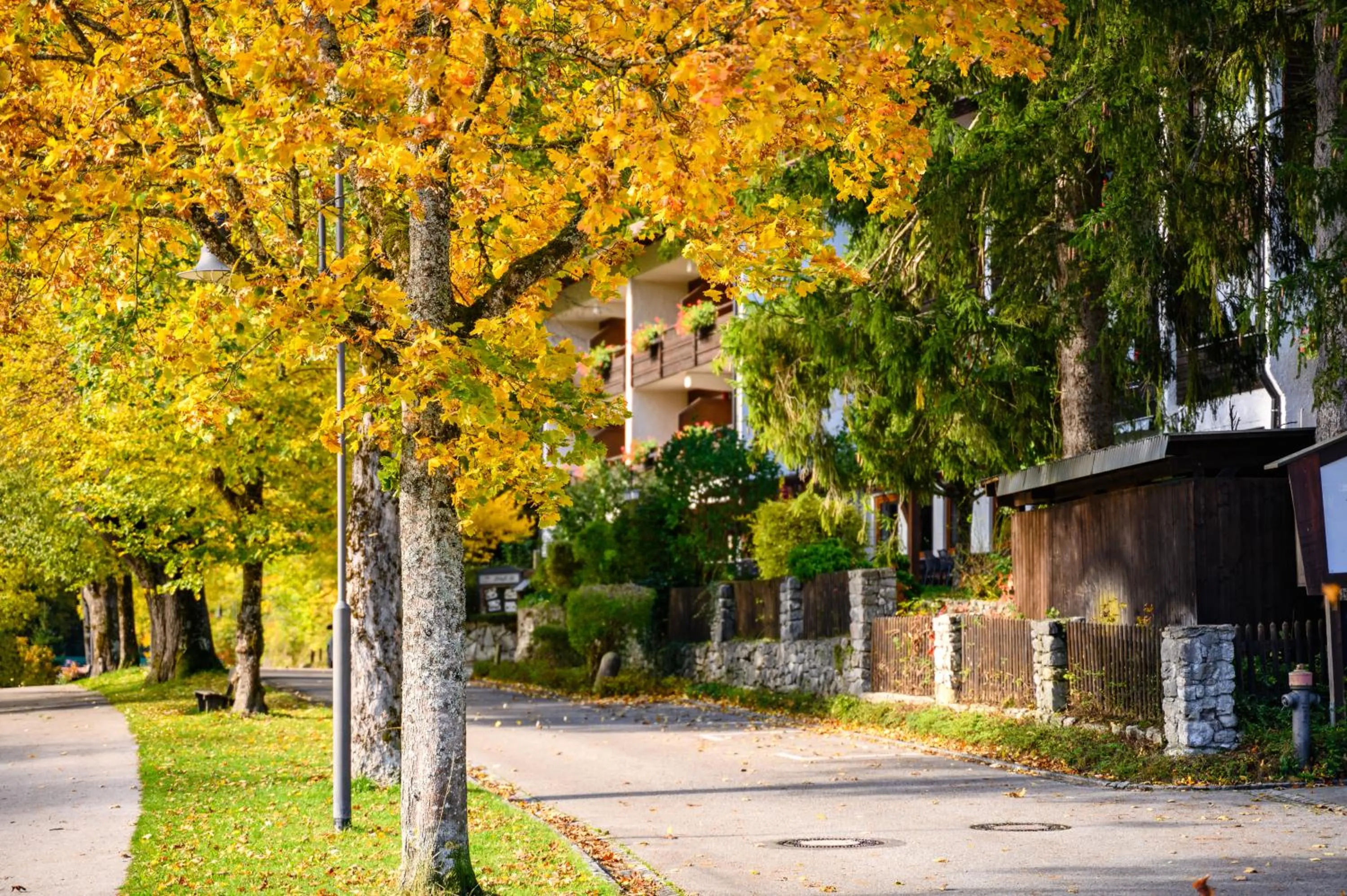 Facade/entrance in Hotel Ruchti - Zeit für mich
