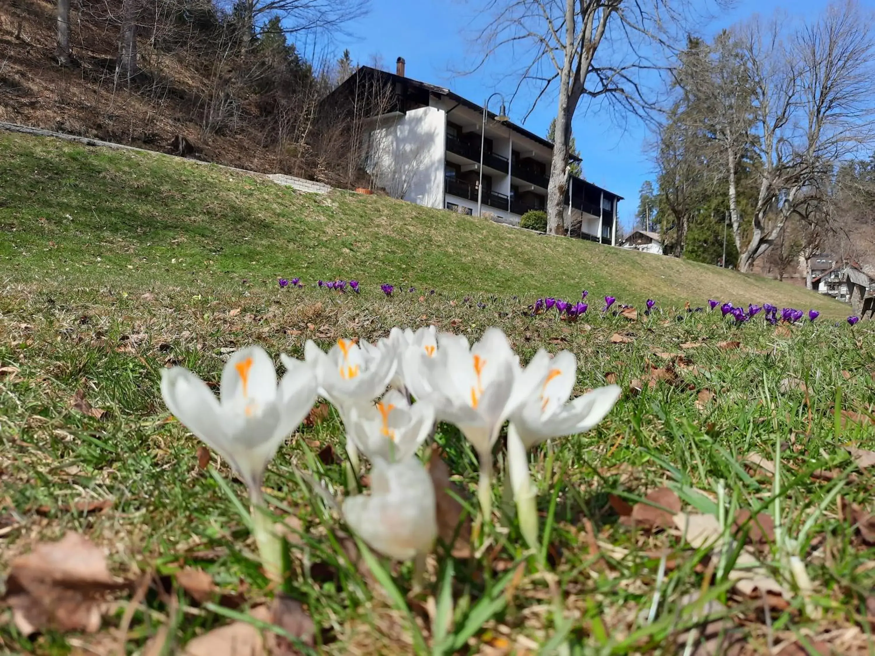 Property building in Hotel Ruchti - Zeit für mich Property building in Hotel Ruchti - Zeit für mich