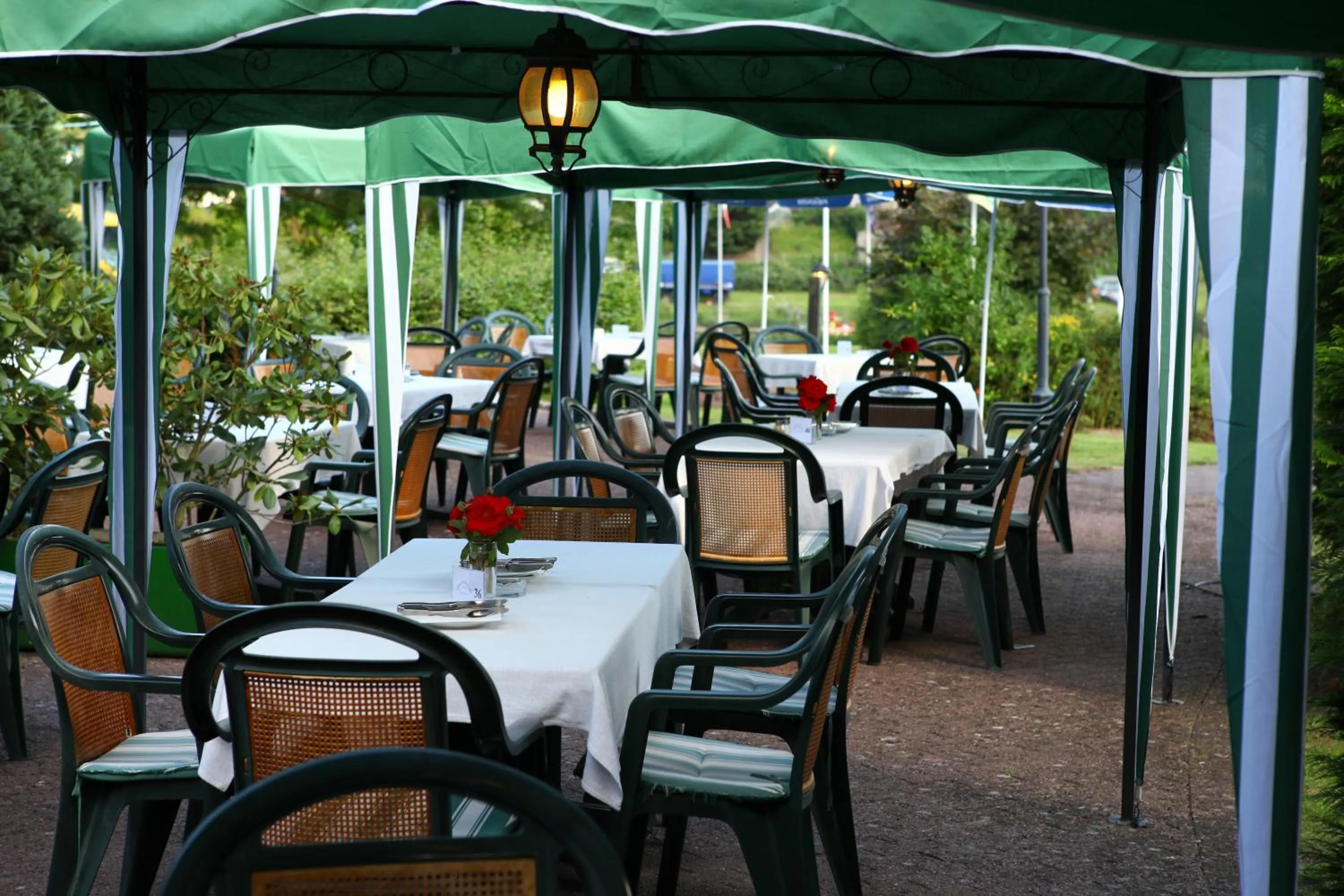 Restaurant/places to eat in Parkhotel Goldlinde