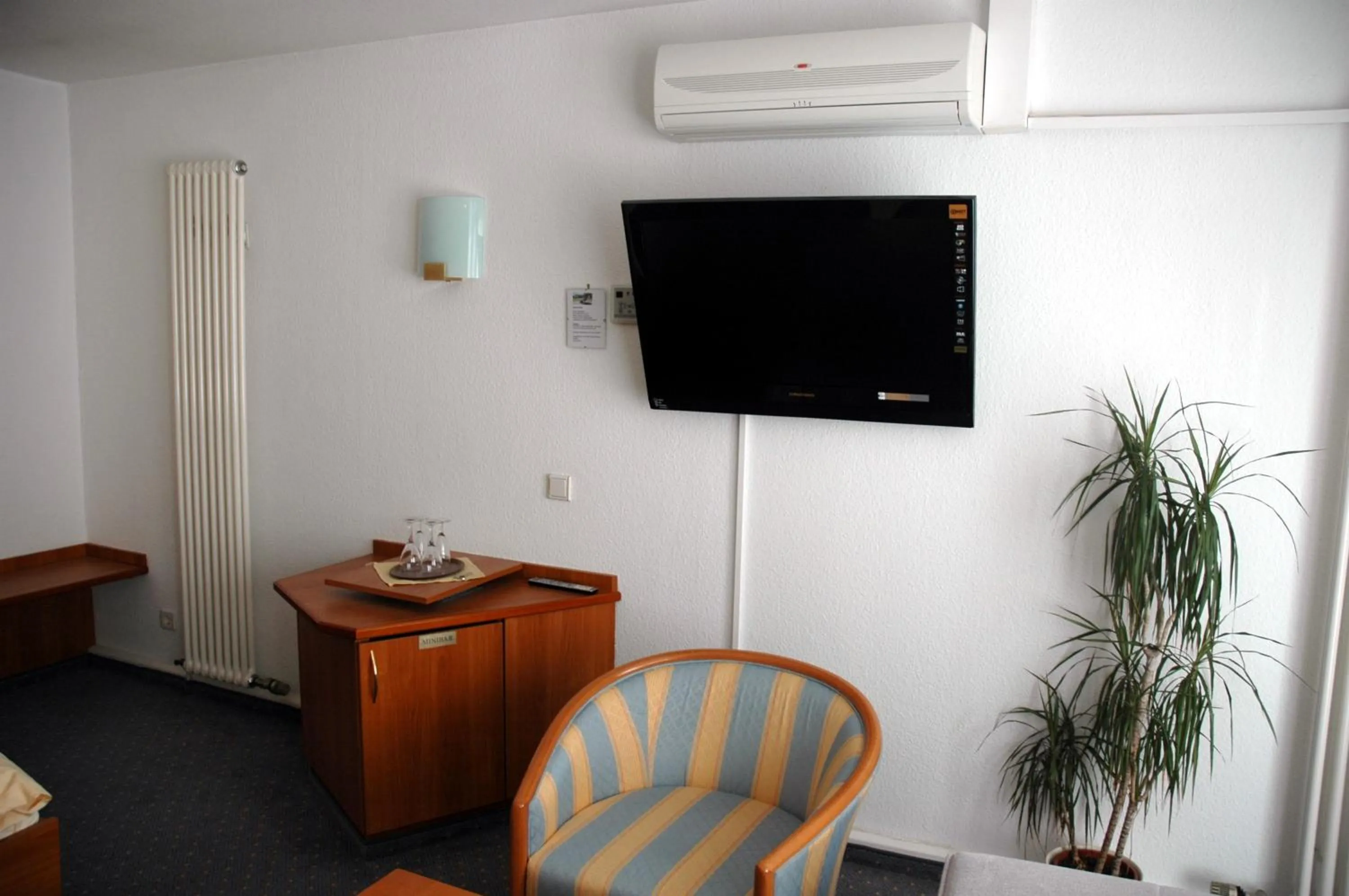 TV and multimedia in Parkhotel Goldlinde