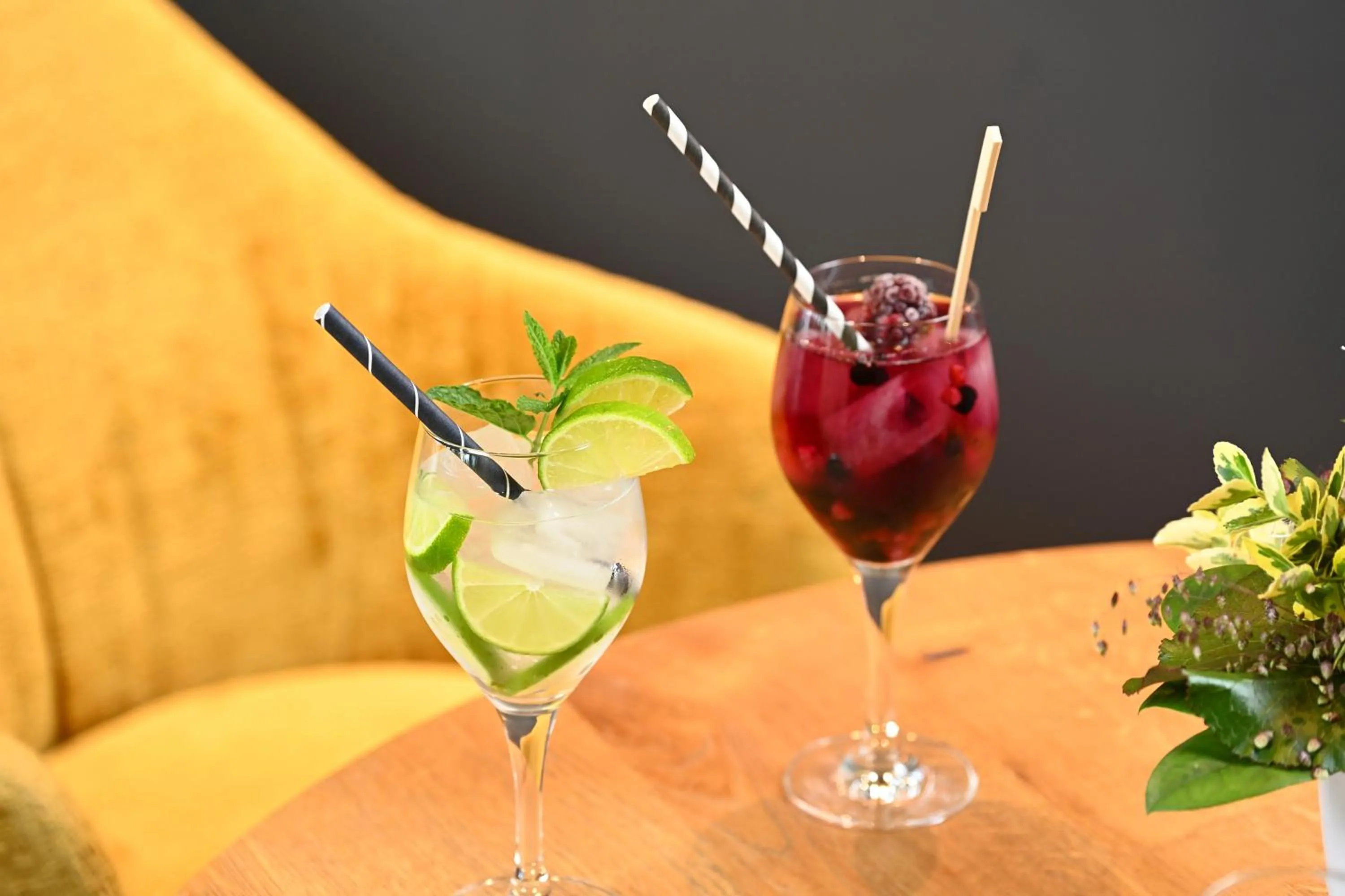 Drinks in Hotel Kiekenstein