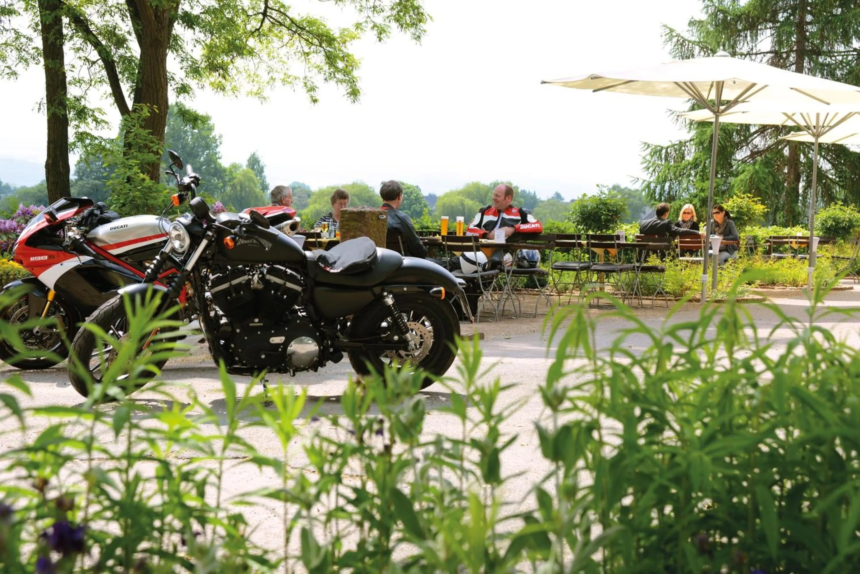 Garden in Hotel Kiekenstein
