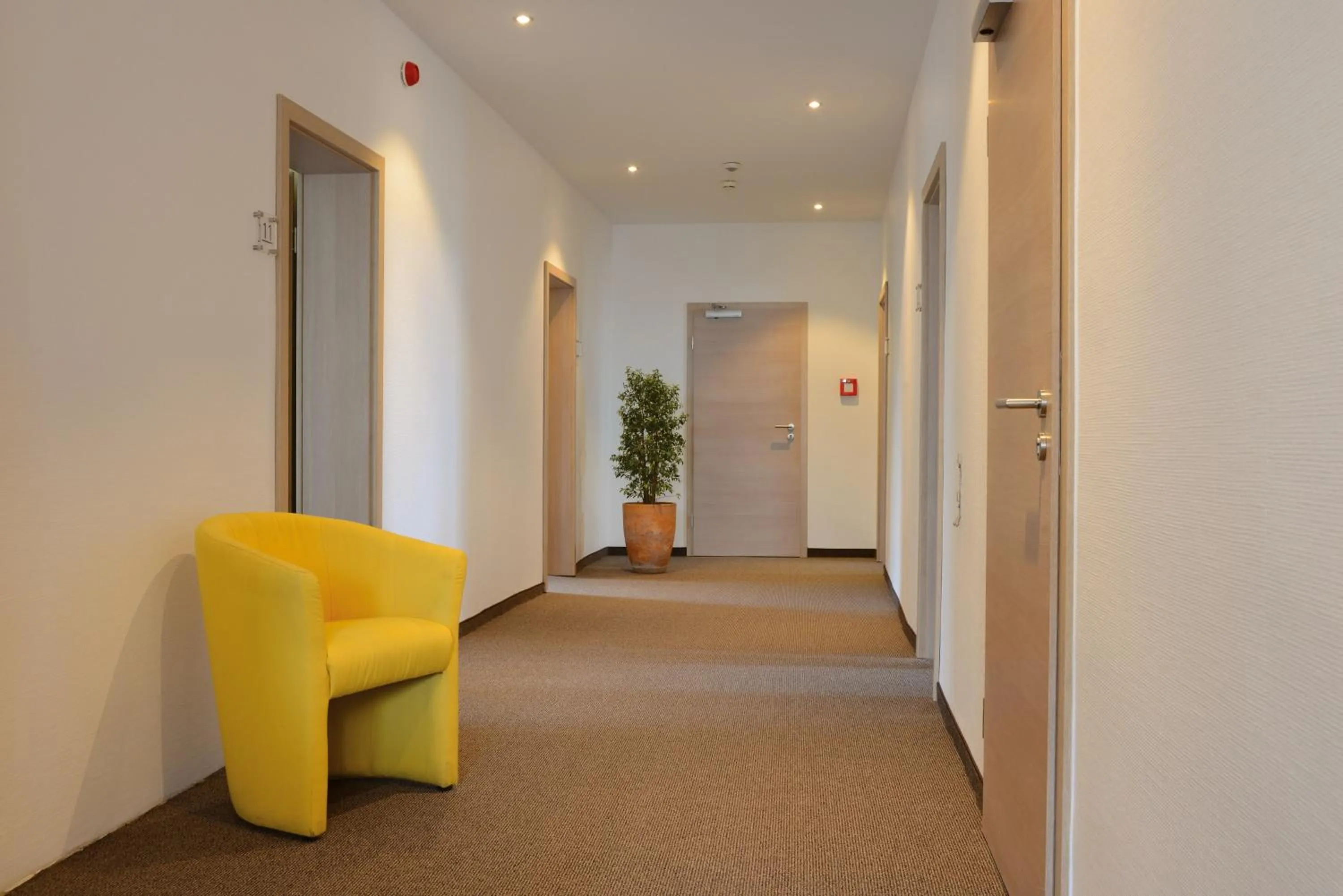 Decorative detail in Hotel Kiekenstein