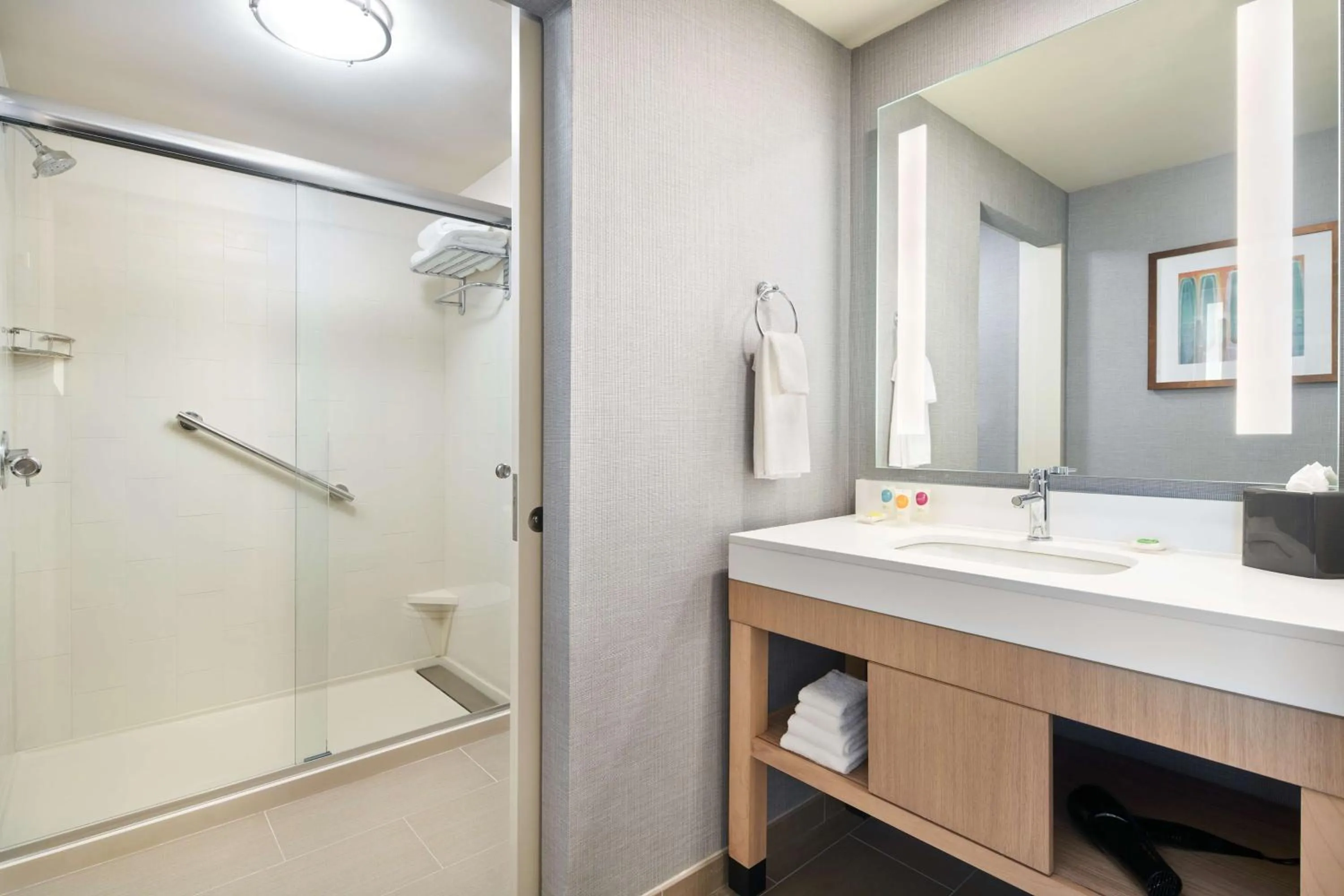 Bathroom in Hyatt Place Melbourne - Palm Bay - I-95