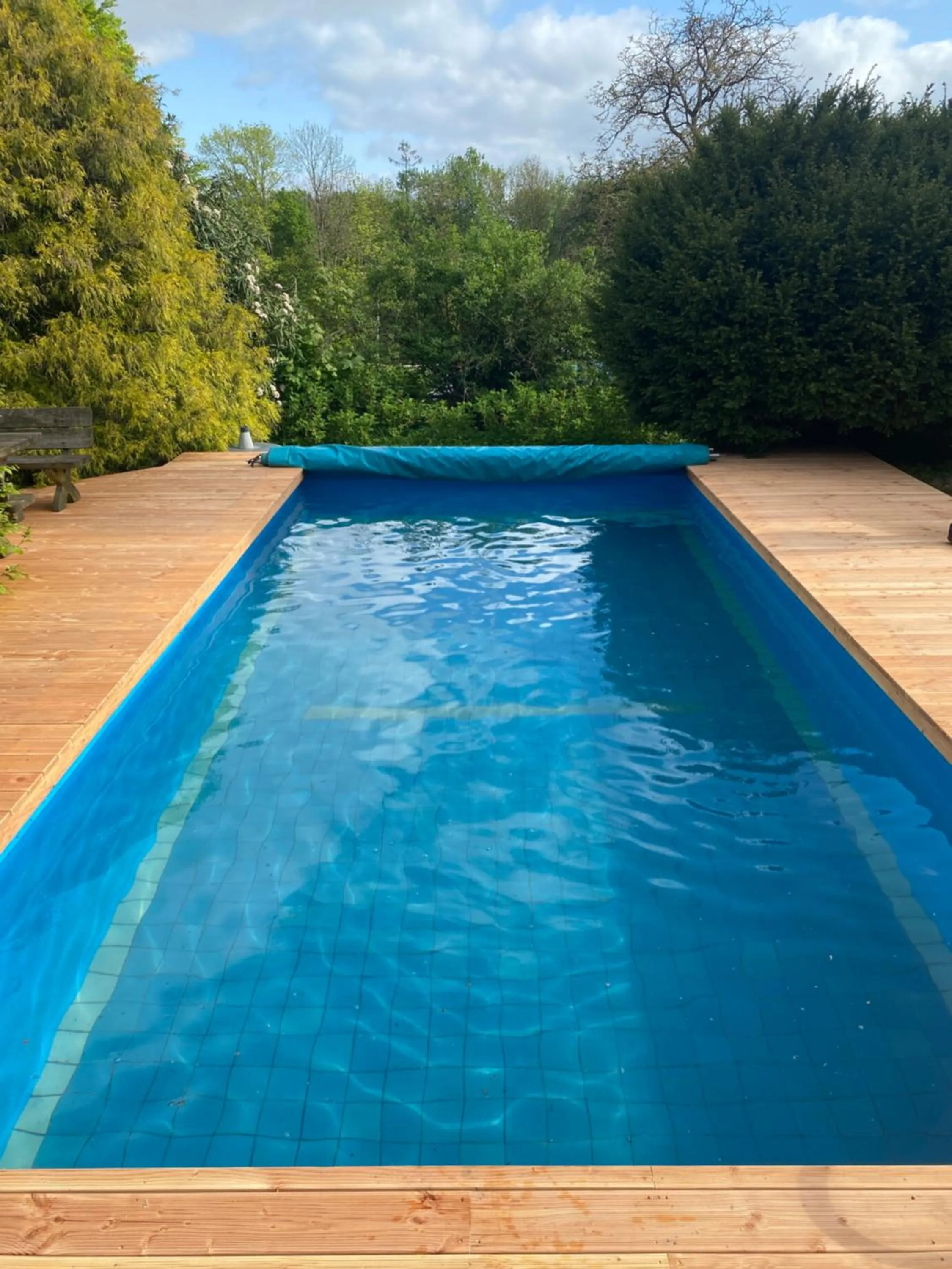 Swimming pool in Ferienhof Kröger