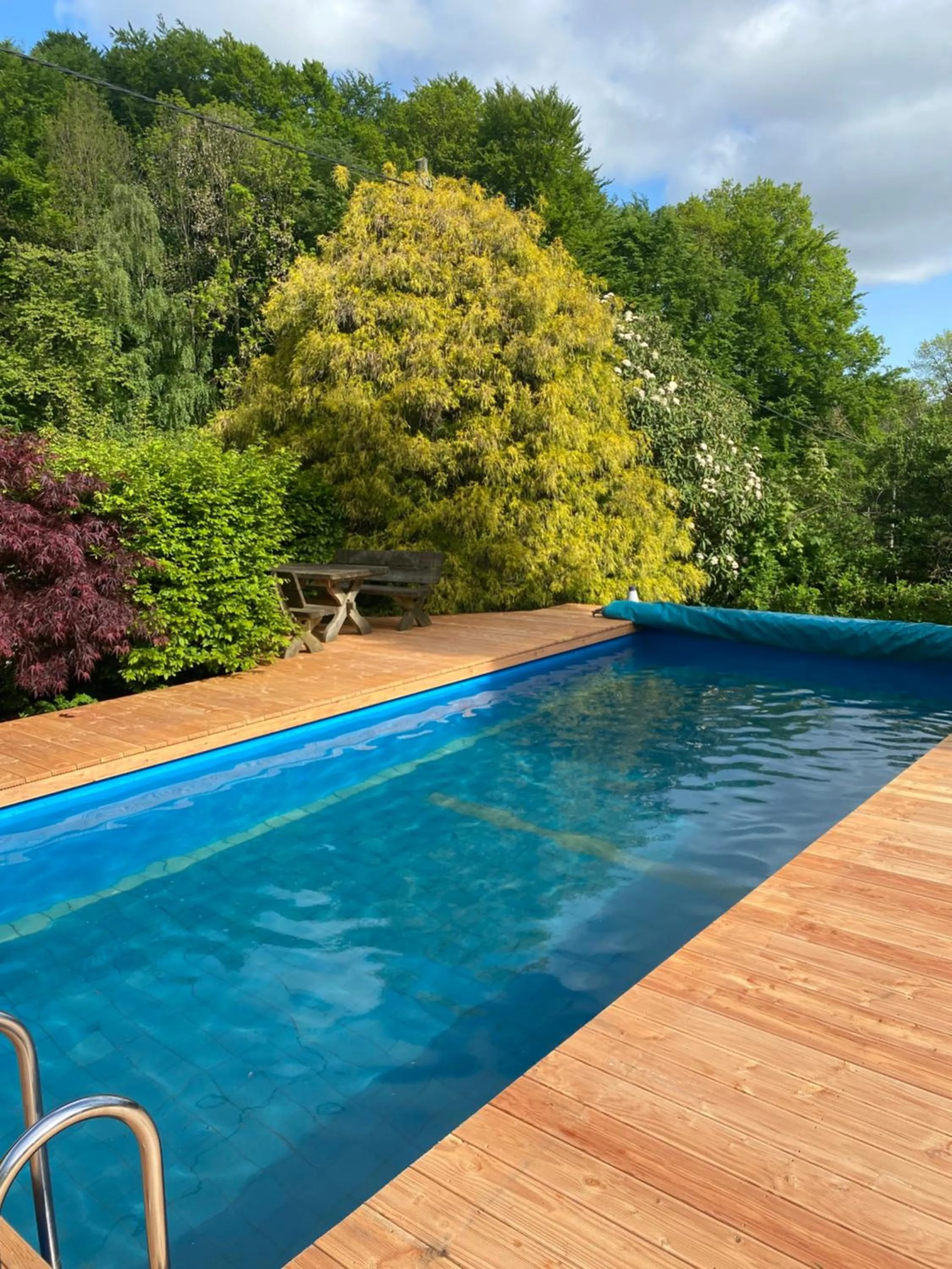 Swimming pool in Ferienhof Kröger