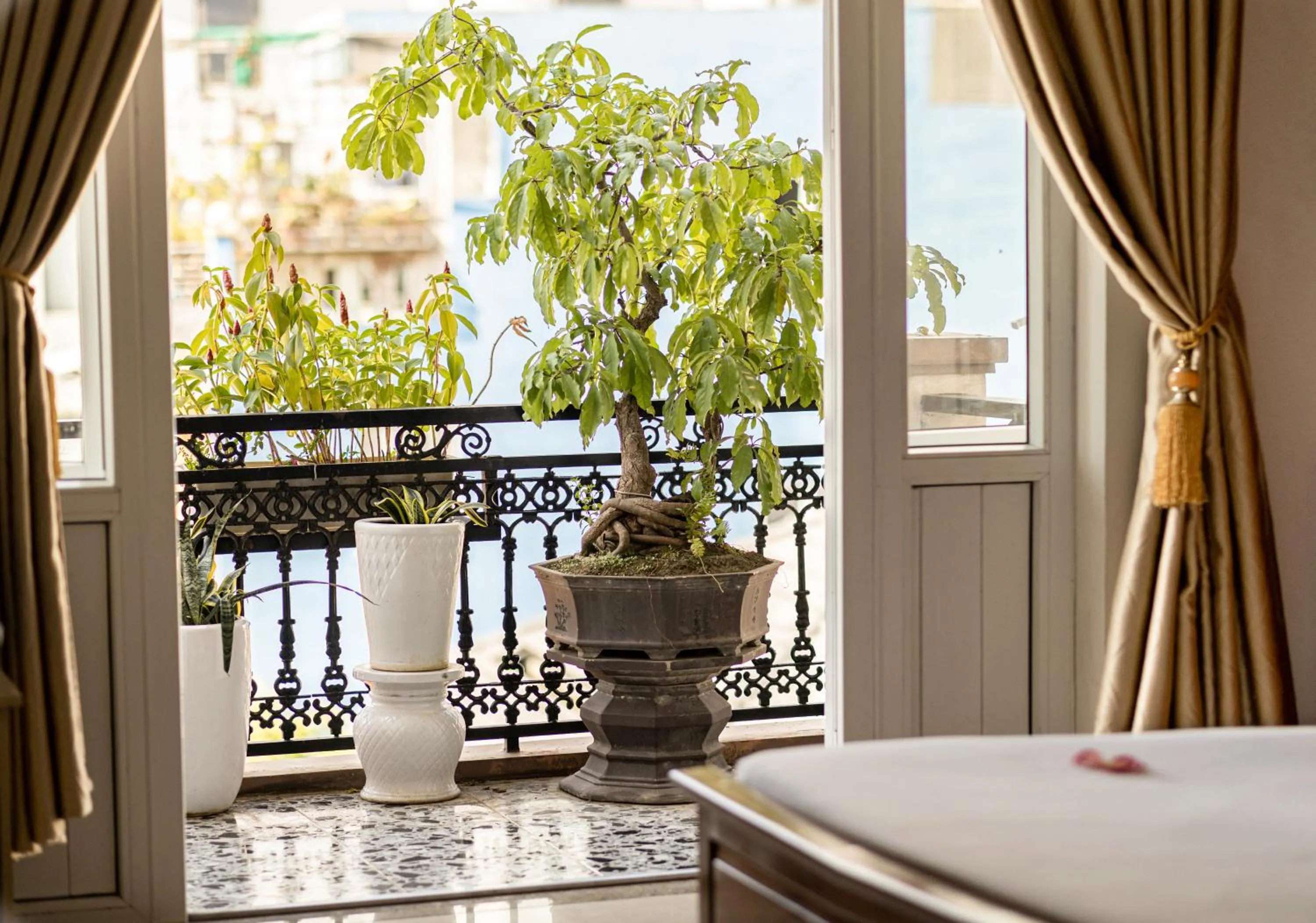 Garden in Hue Harmony Hotel