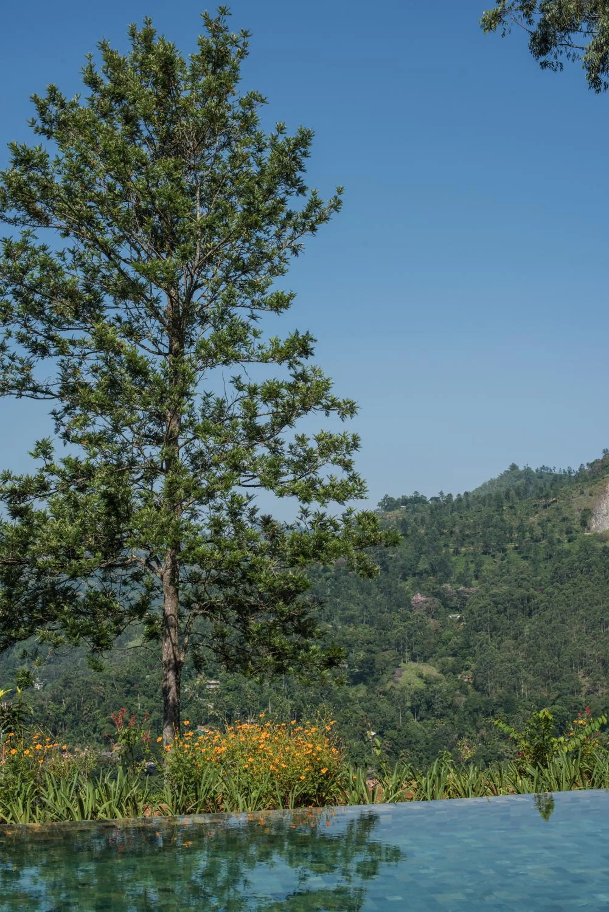 Natural landscape in Nine Skies