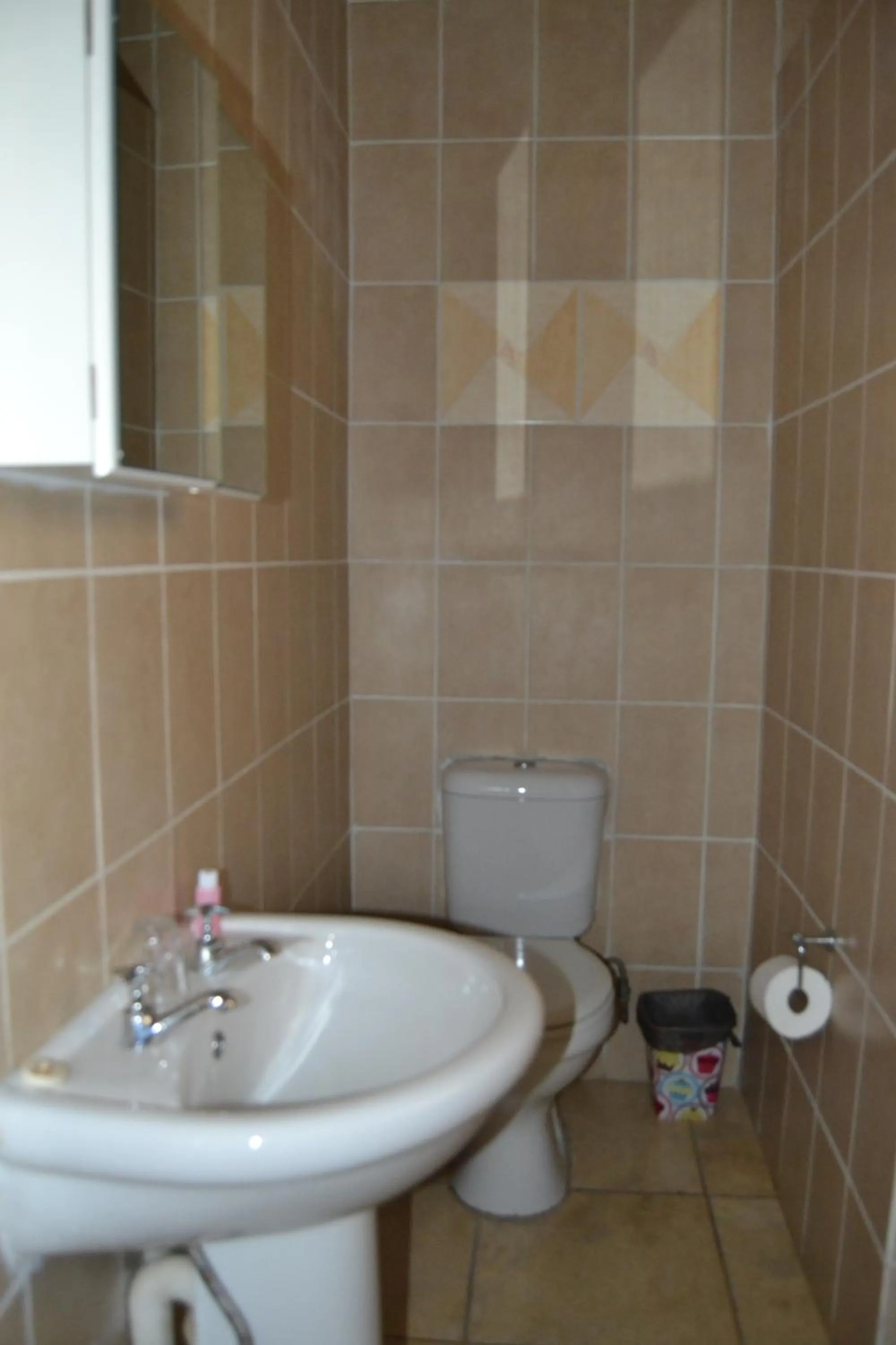 Bathroom in Kamogelo Guest House