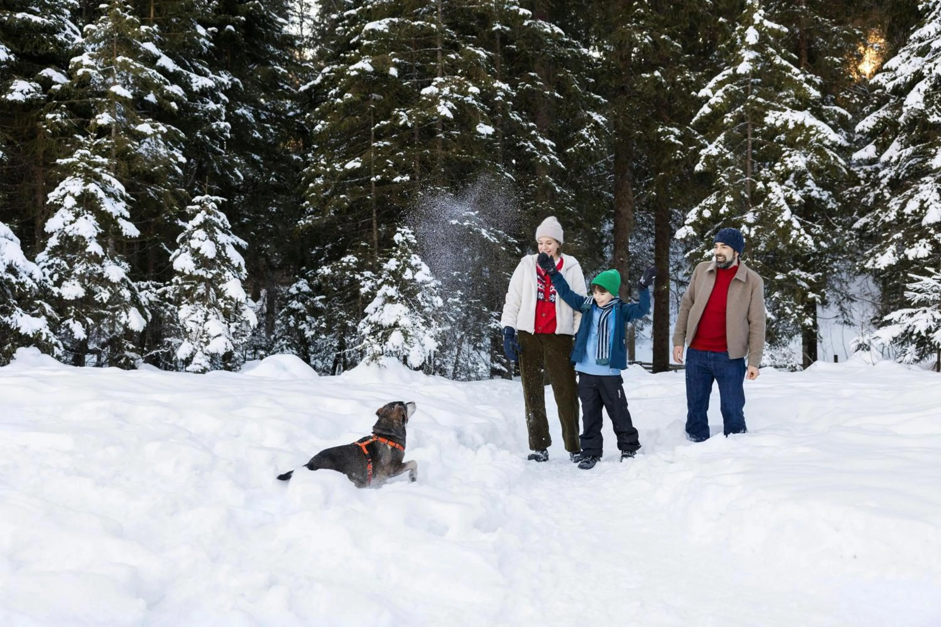 Other in Arabella Alpenhotel am Spitzingsee, a Tribute Portfolio Hotel