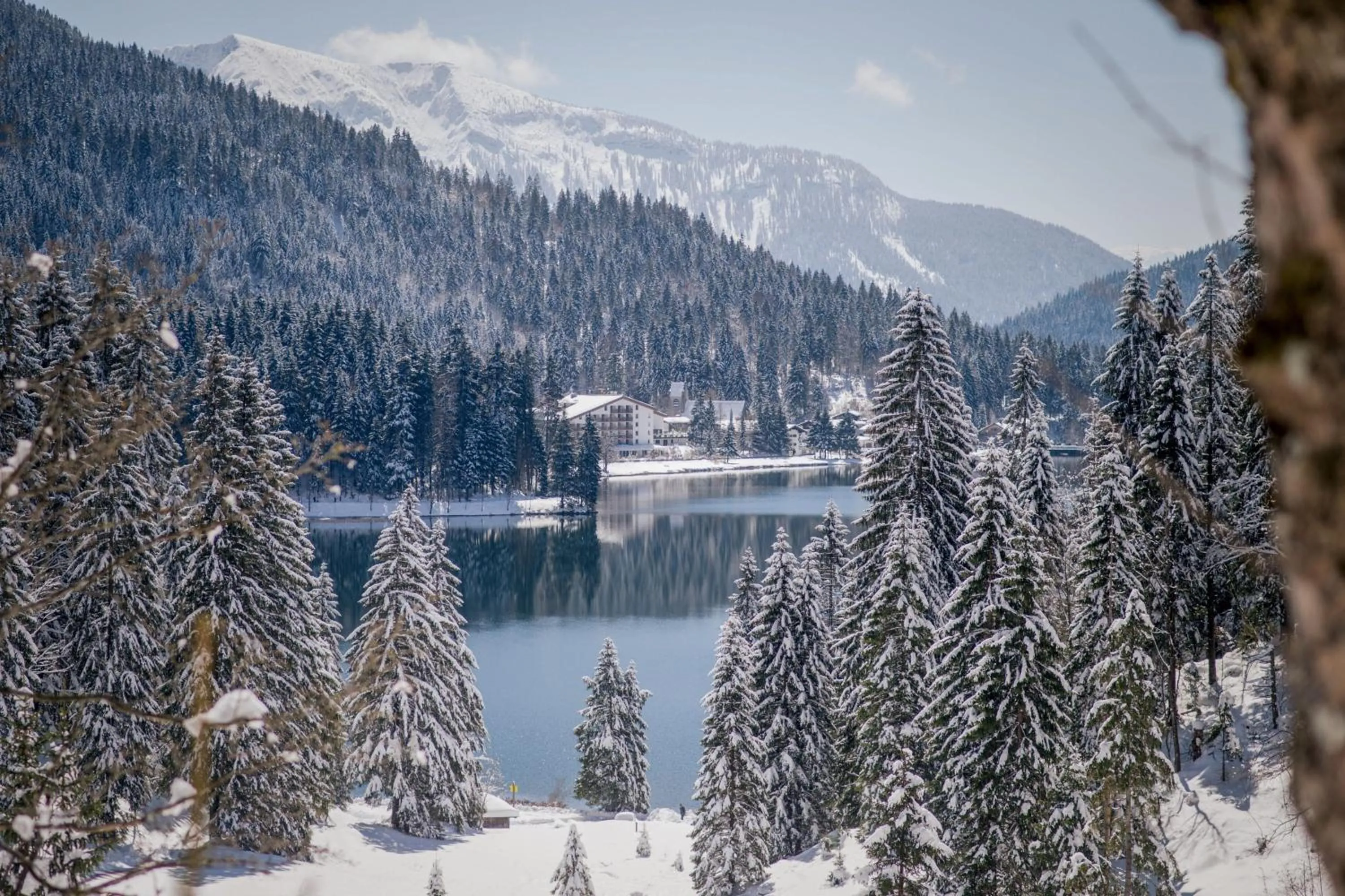 View (from property/room) in Arabella Alpenhotel am Spitzingsee, a Tribute Portfolio Hotel