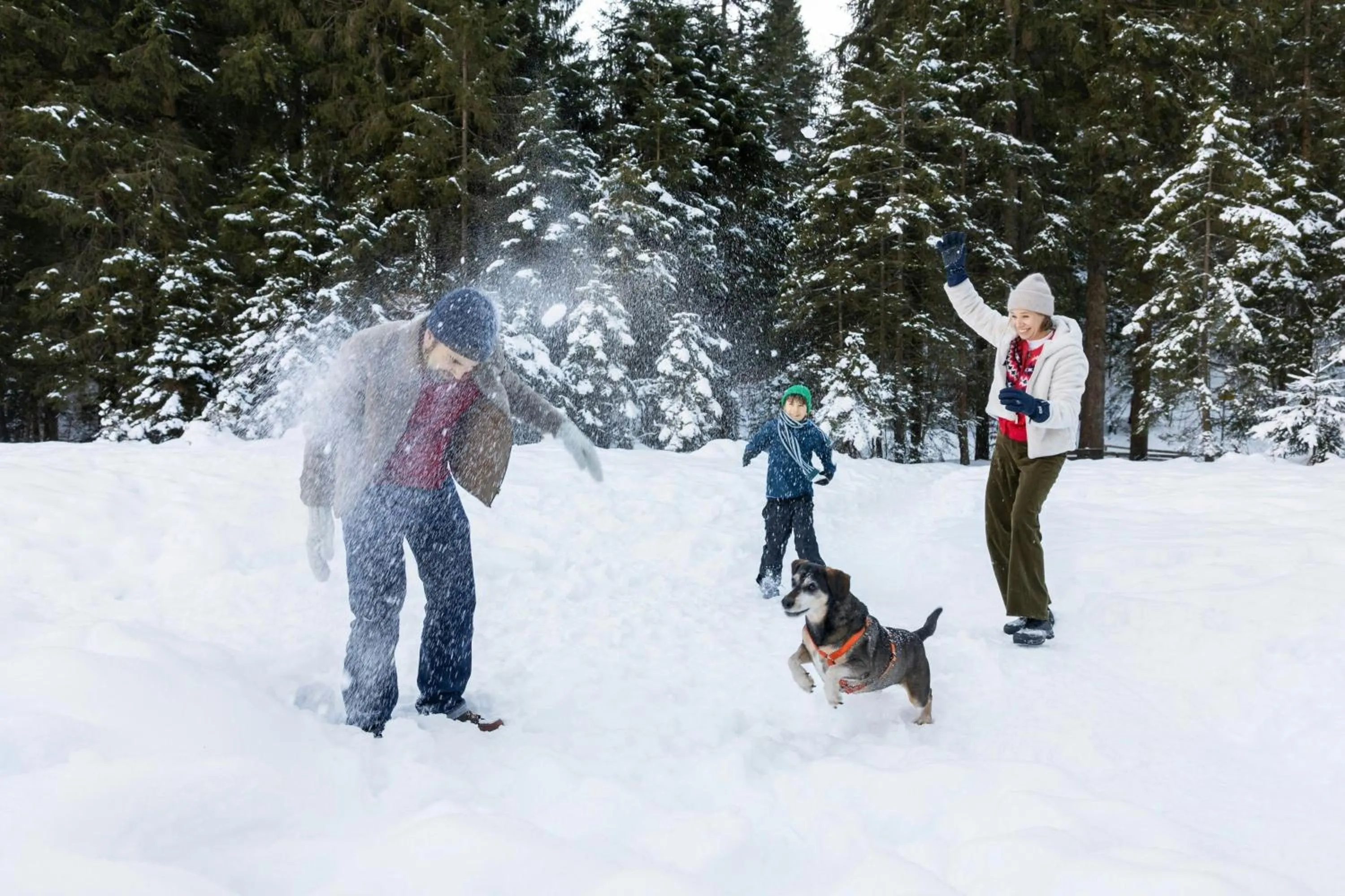 Other in Arabella Alpenhotel am Spitzingsee, a Tribute Portfolio Hotel