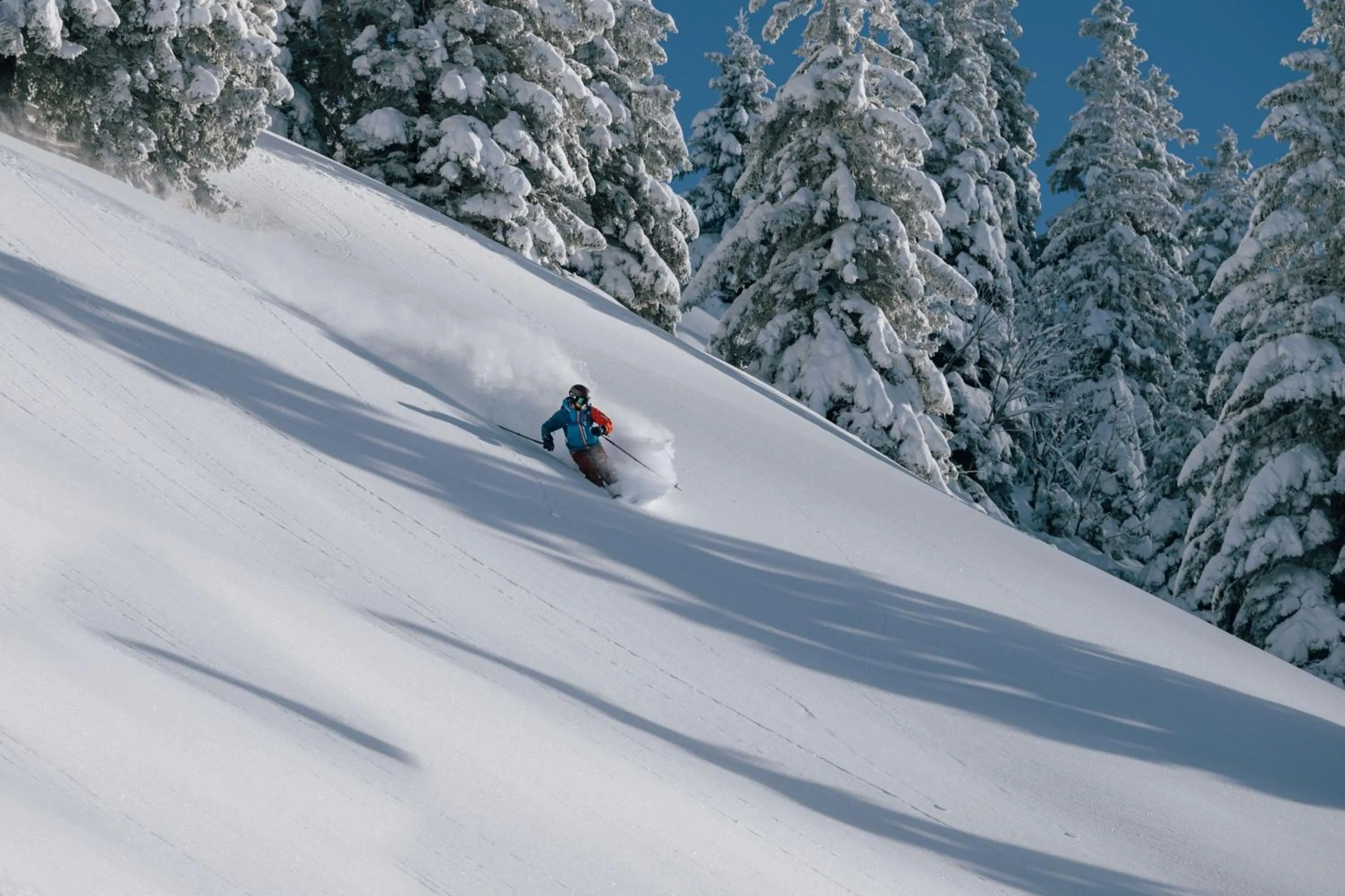 Other in Arabella Alpenhotel am Spitzingsee, a Tribute Portfolio Hotel