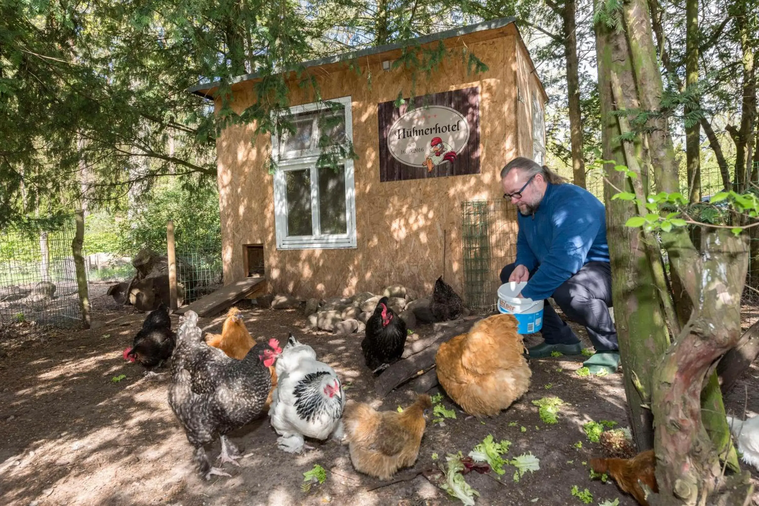 Best Western Plus Ostseehotel Waldschloesschen Best Western Plus Ostseehotel Waldschloesschen